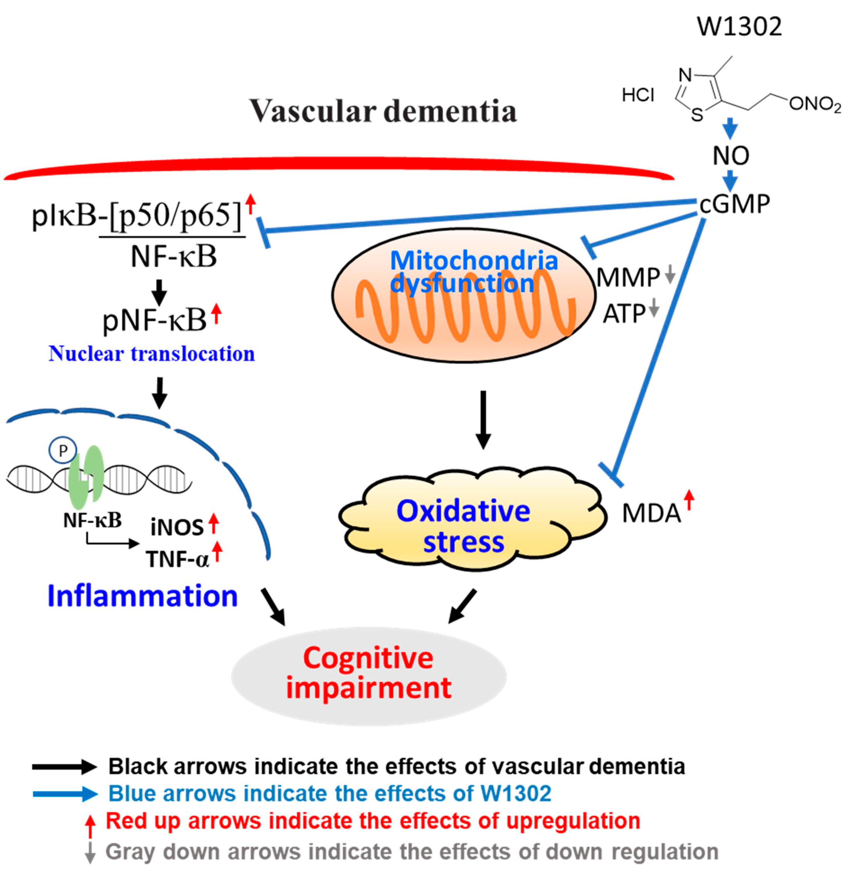 Antioxidants 13 00585 g005