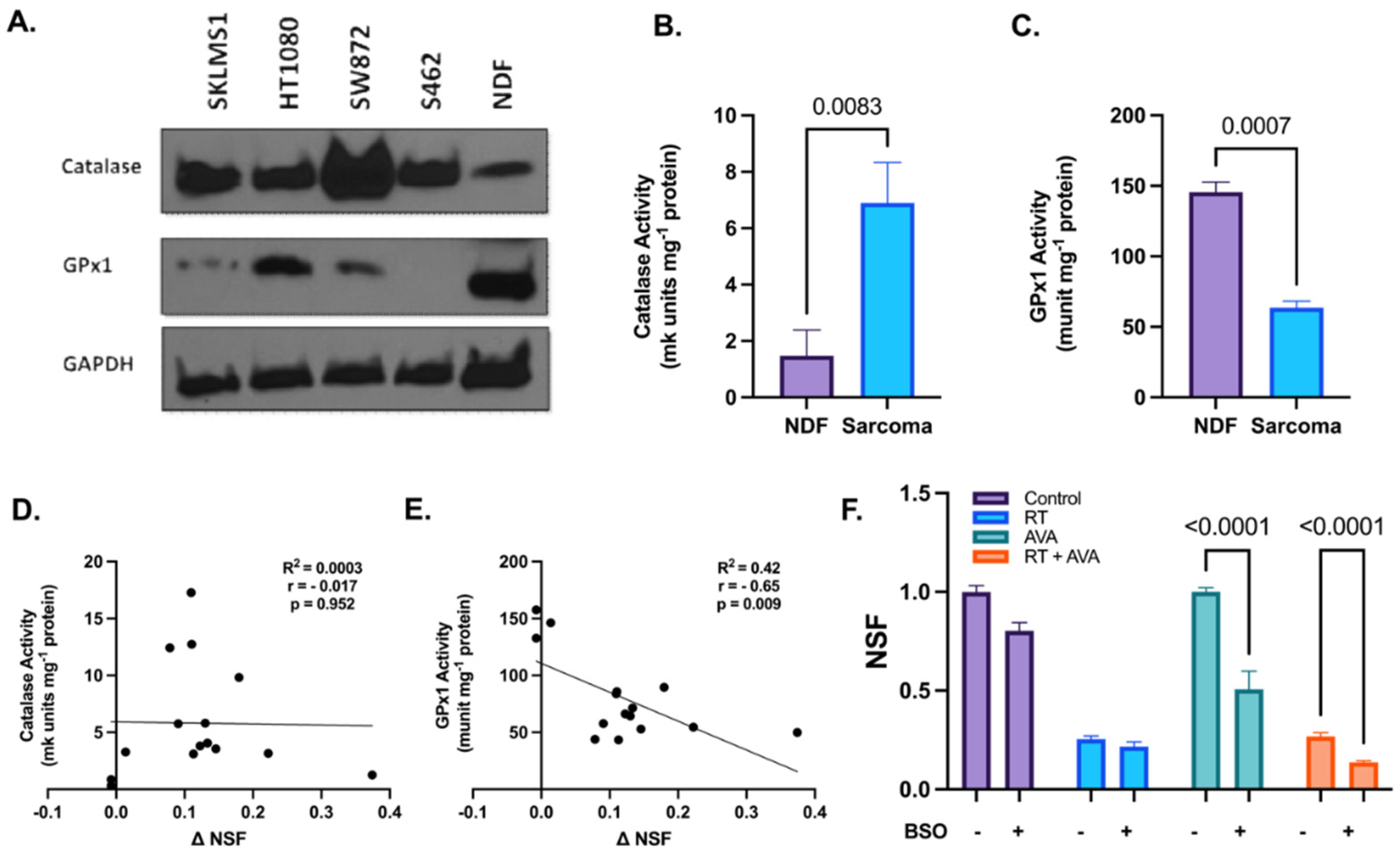 Antioxidants 13 00587 g002