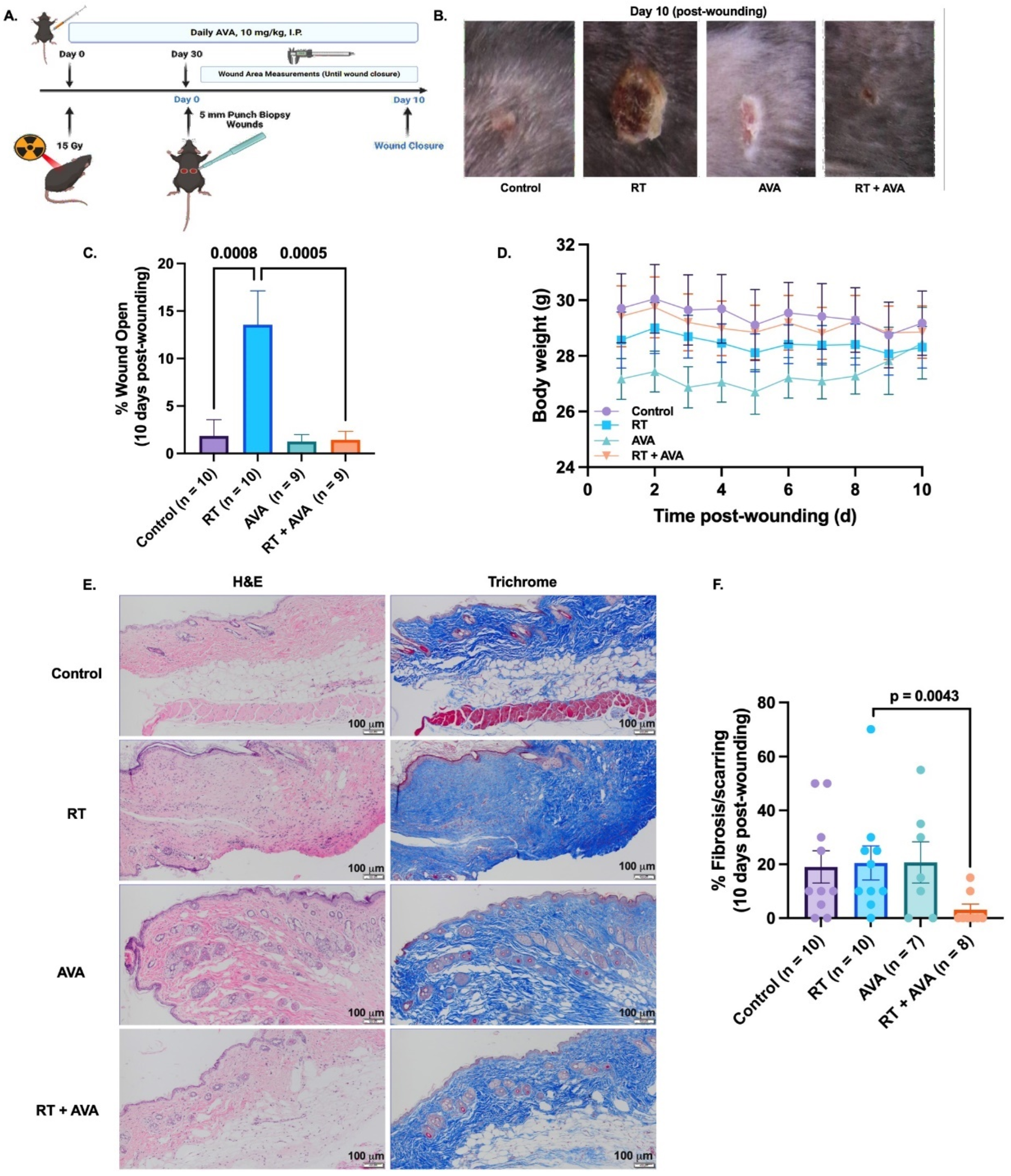 Antioxidants 13 00587 g003