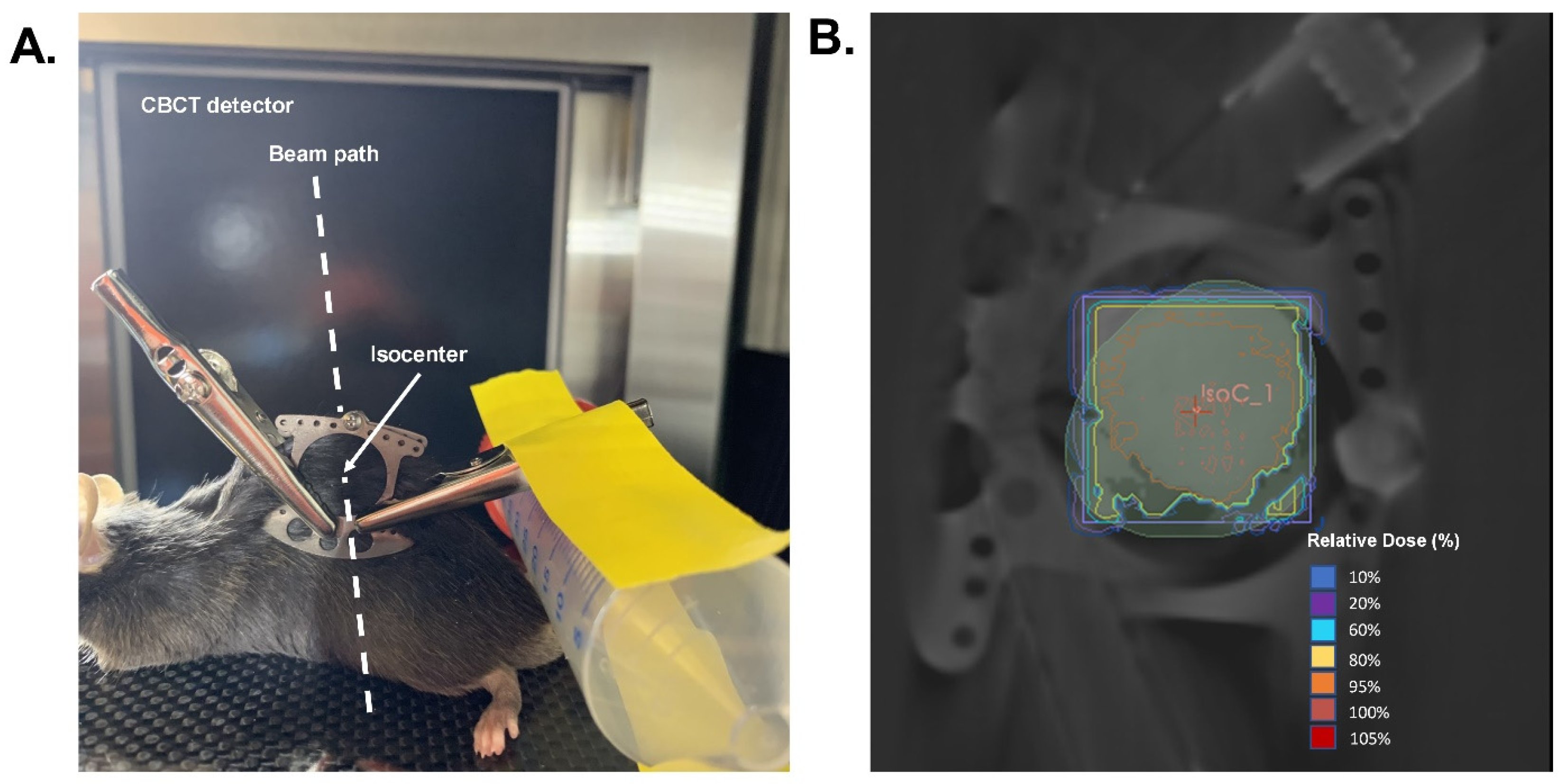 Antioxidants 13 00587 sch002