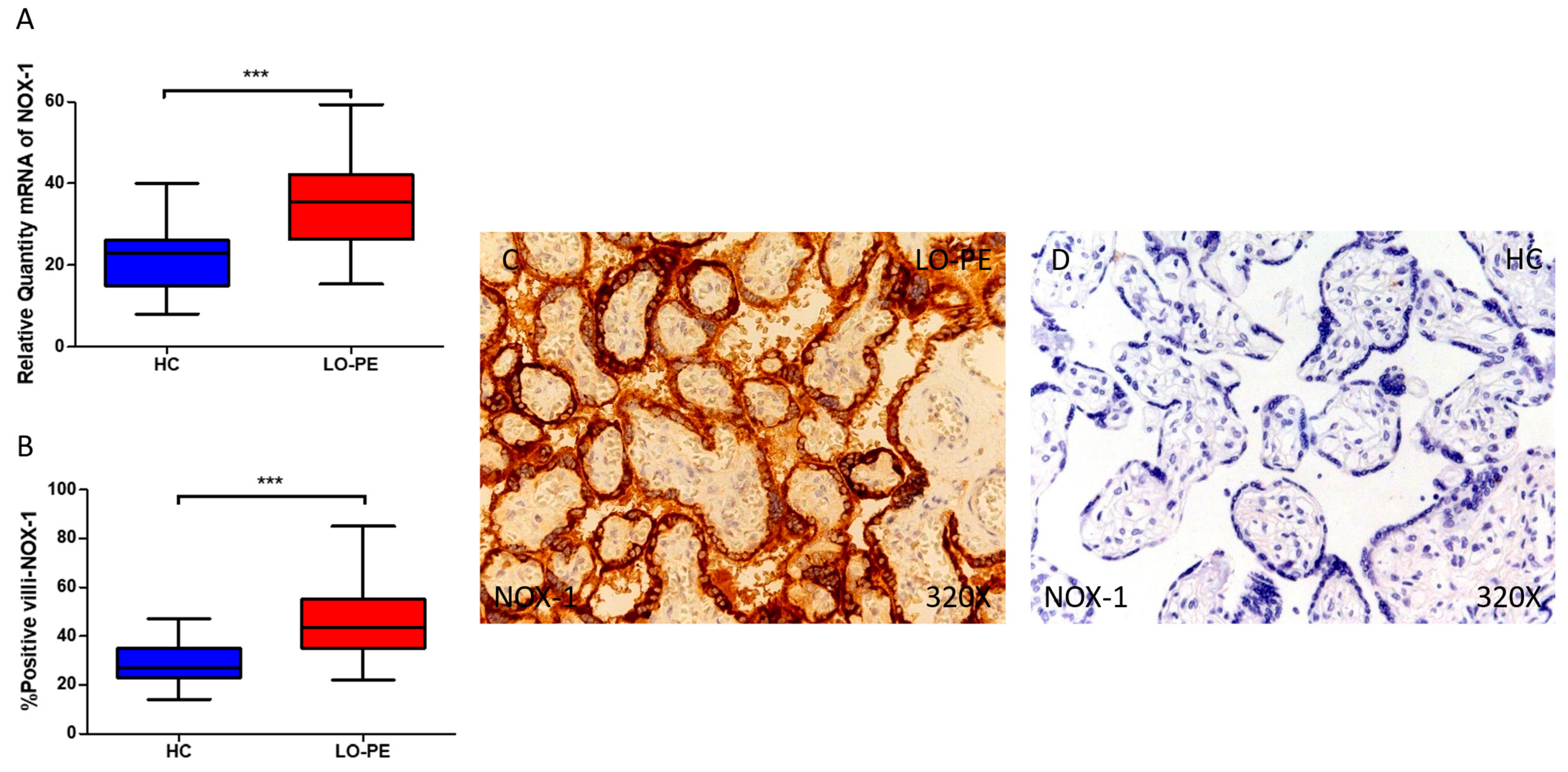 Antioxidants 13 00591 g001