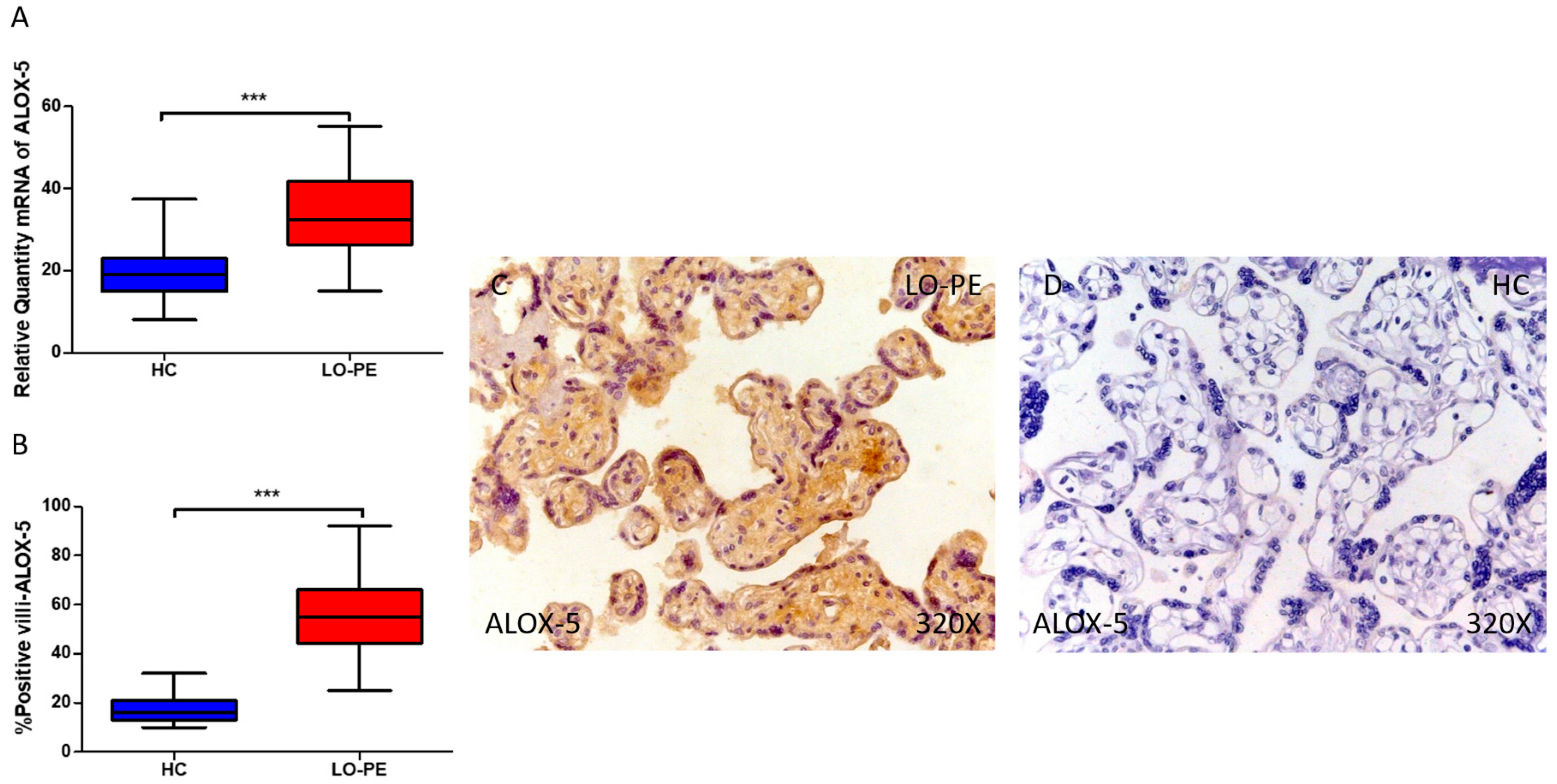 Antioxidants 13 00591 g006