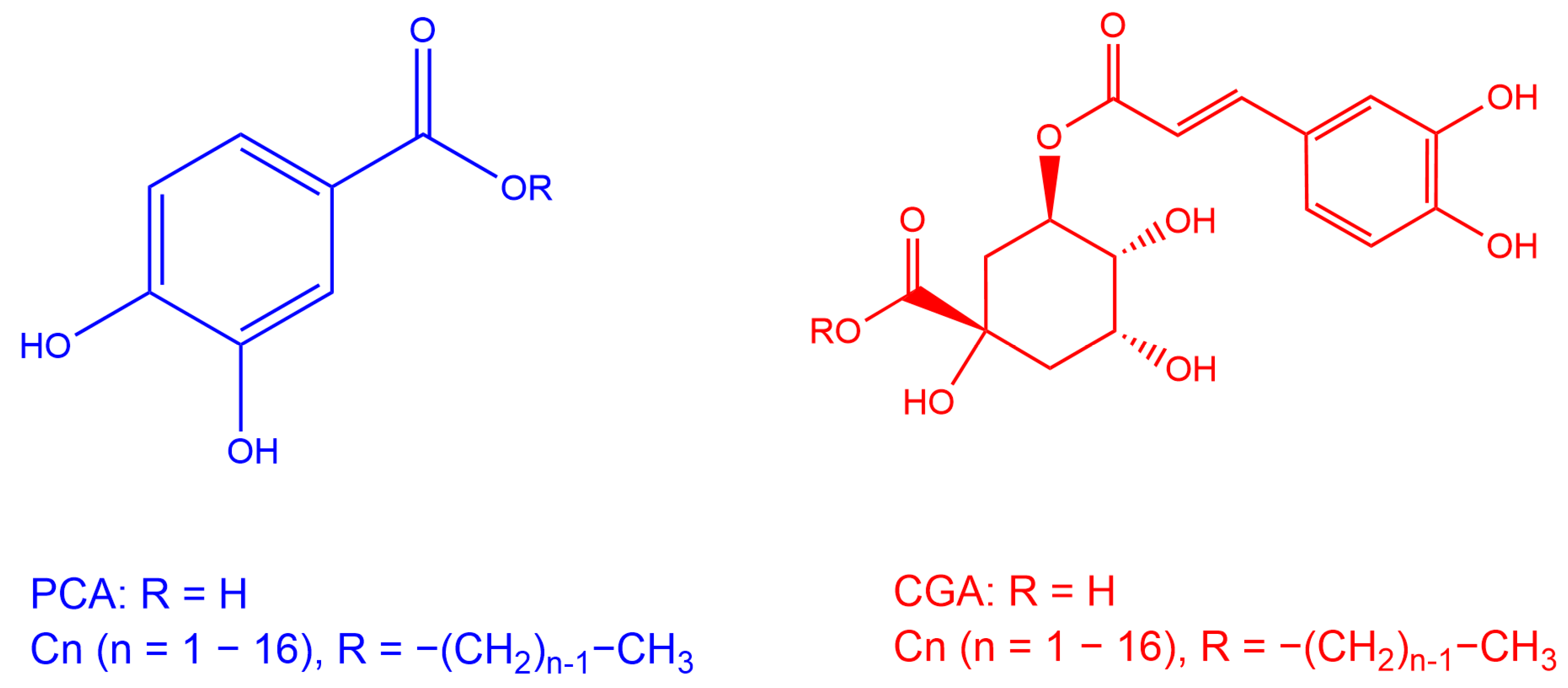 Antioxidants 13 00593 g004