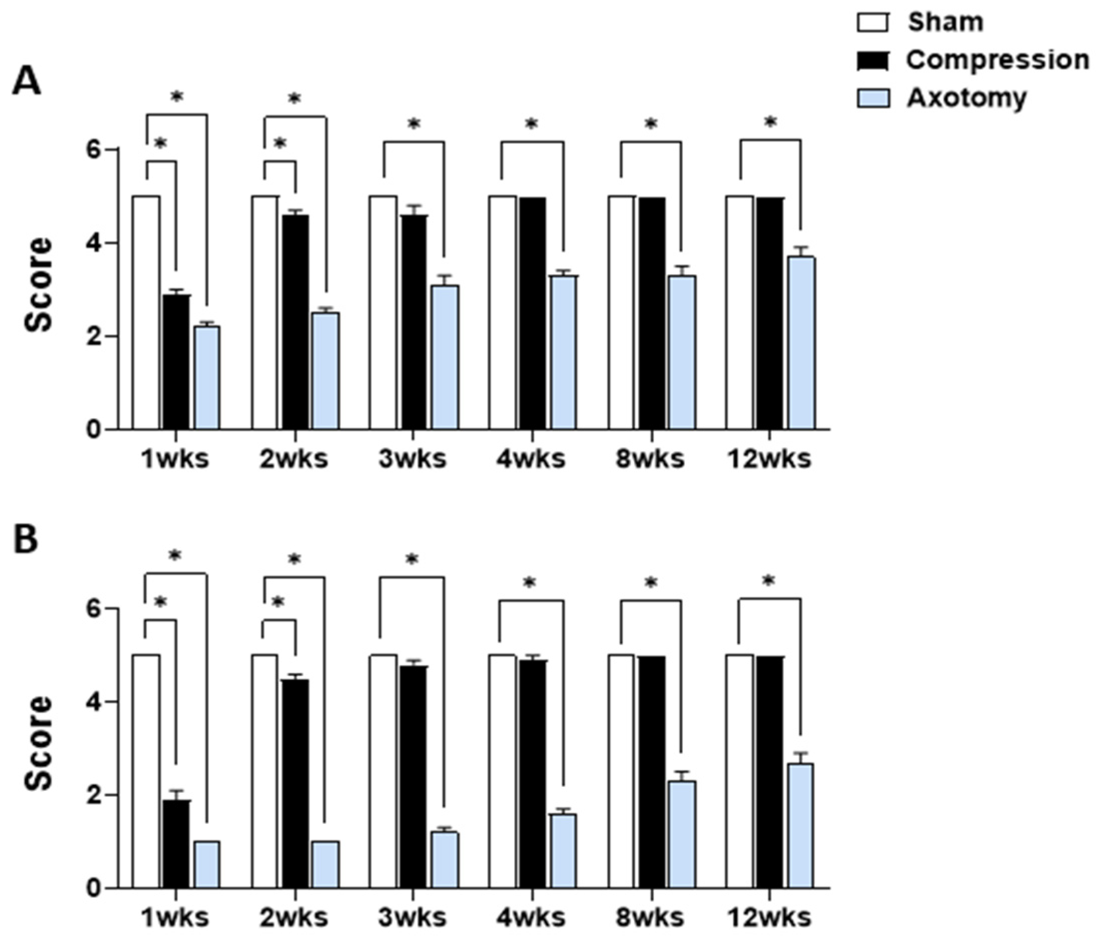 Antioxidants 13 00595 g001