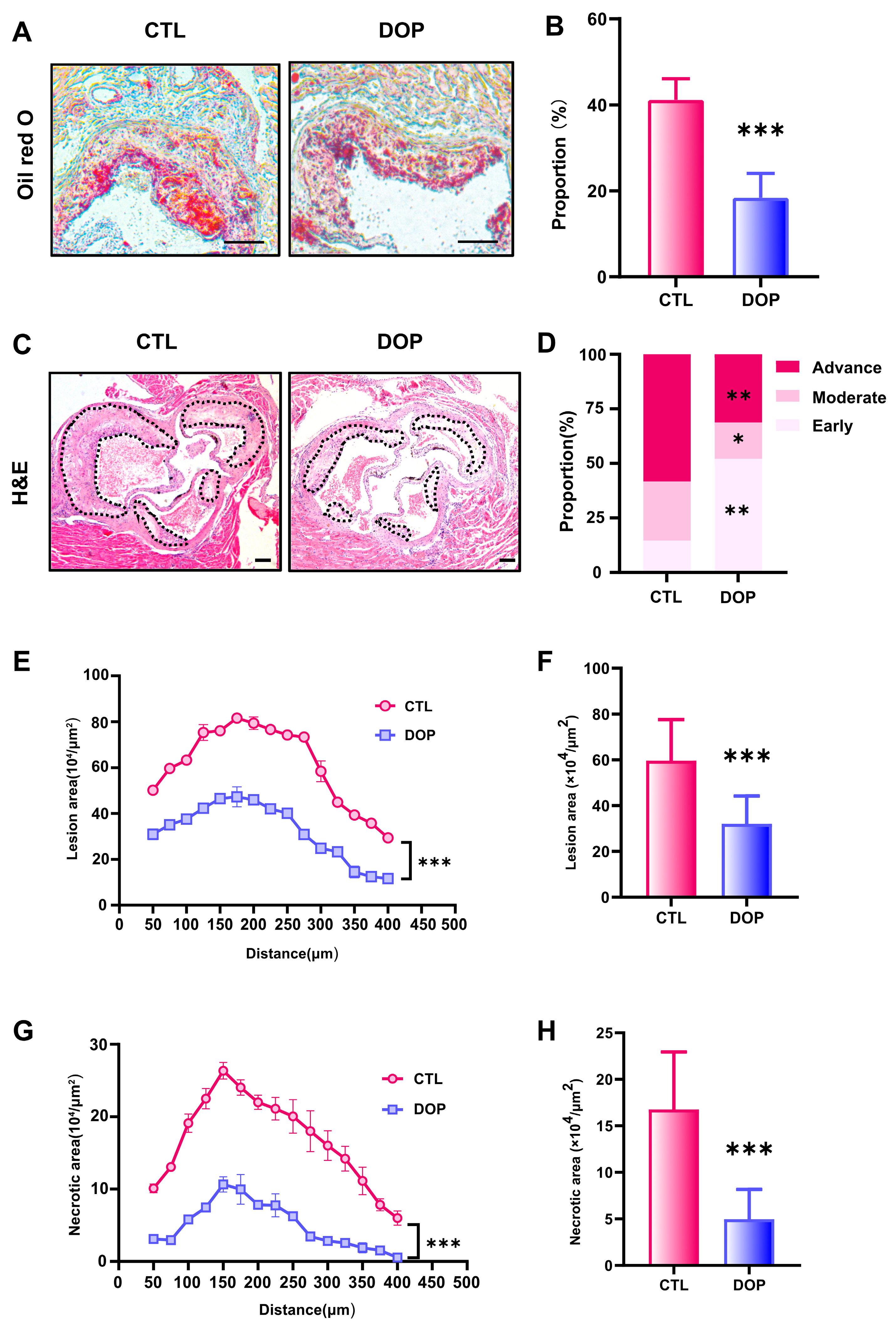 Antioxidants 13 00599 g003