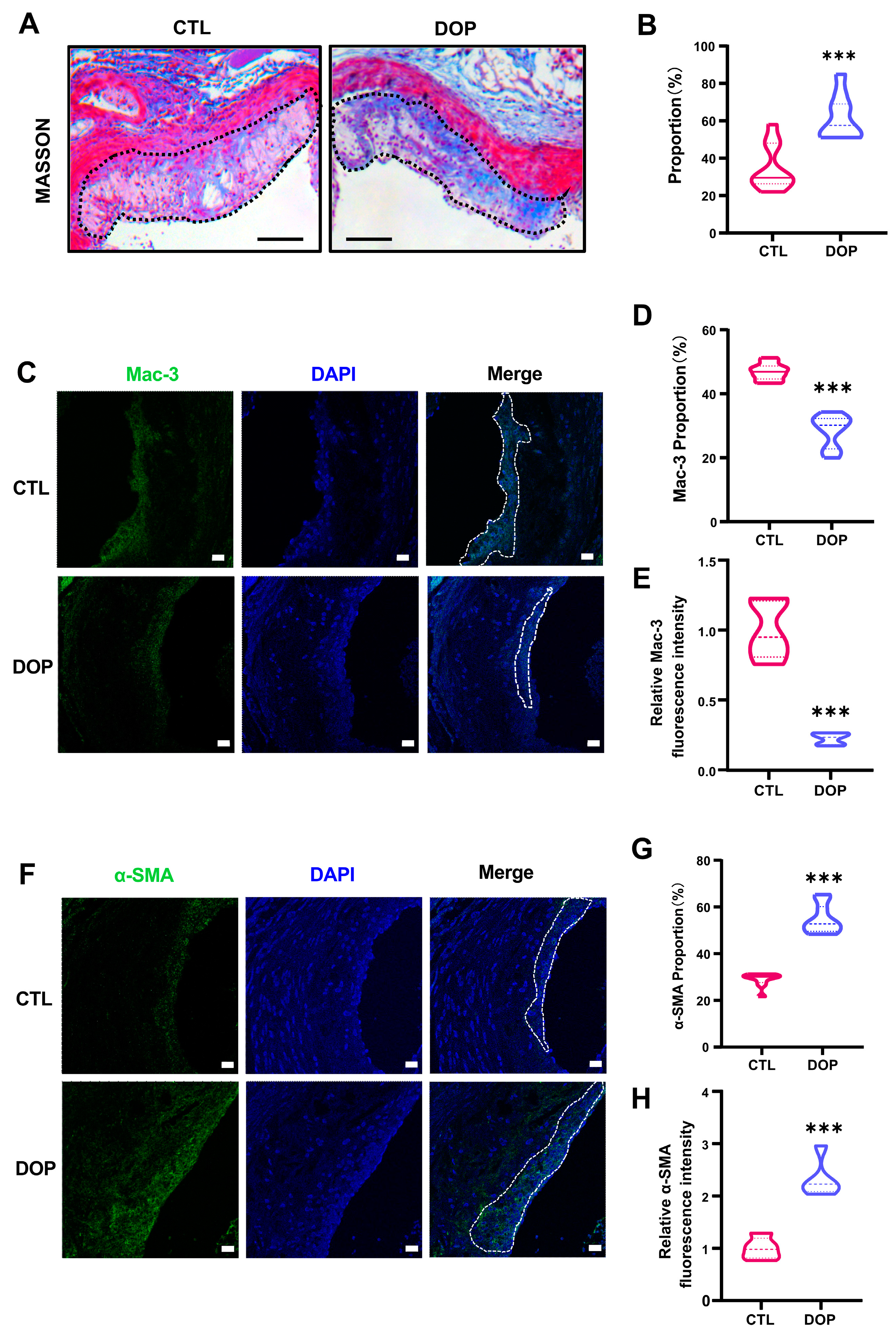 Antioxidants 13 00599 g004