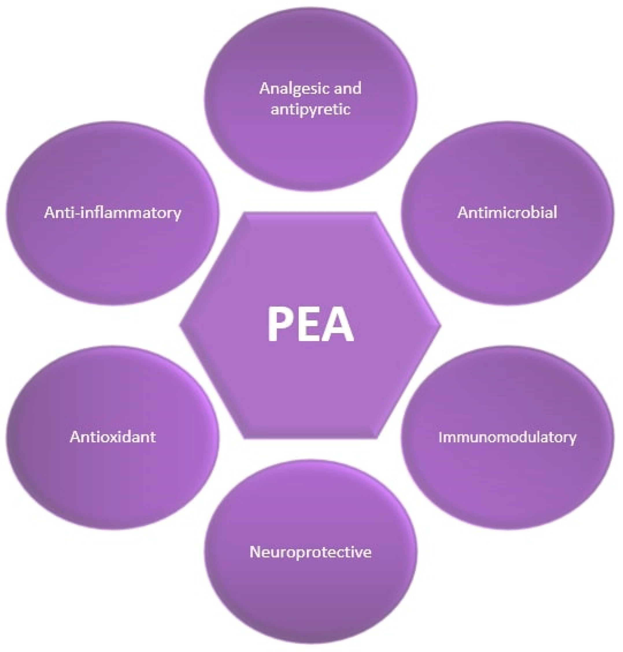 Antioxidants 13 00600 g001