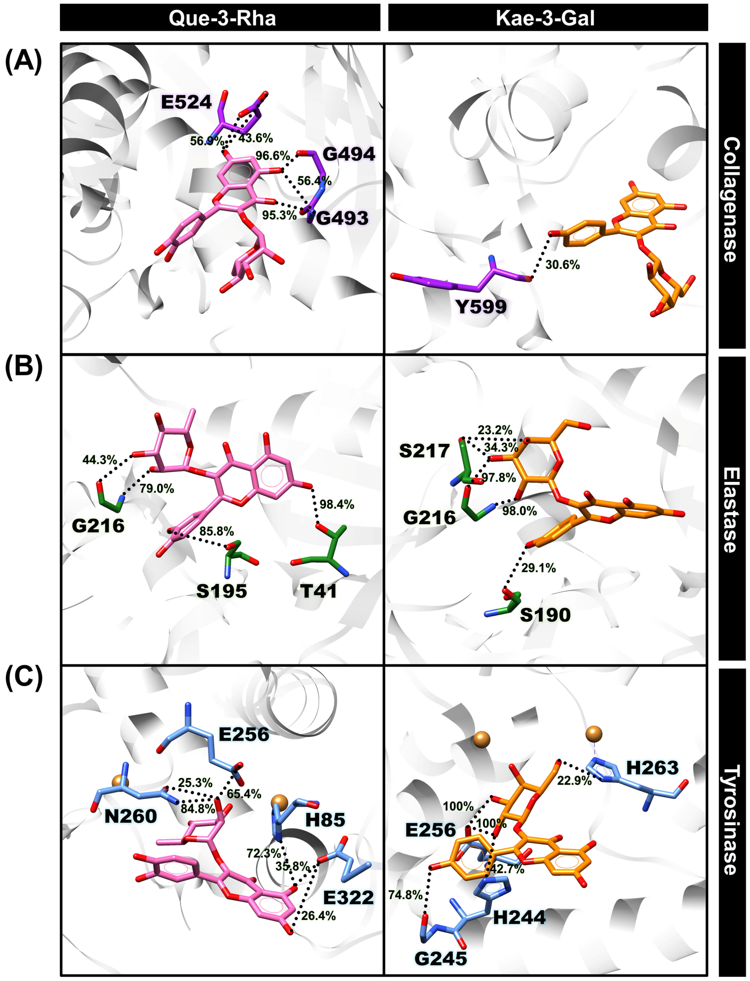 Antioxidants 13 00601 g004