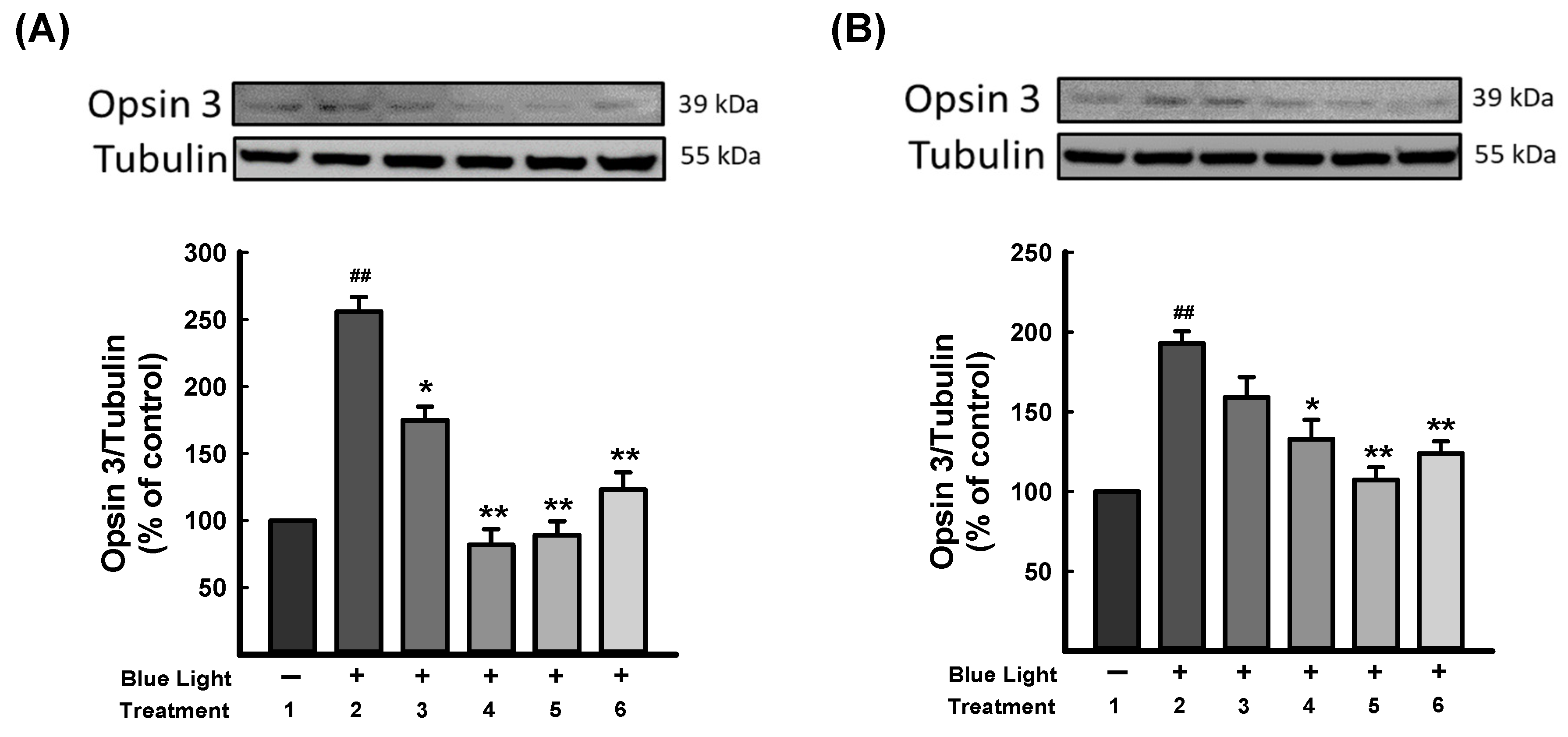 Antioxidants 13 00603 g006