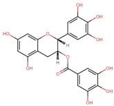 Antioxidants 13 00606 i003
