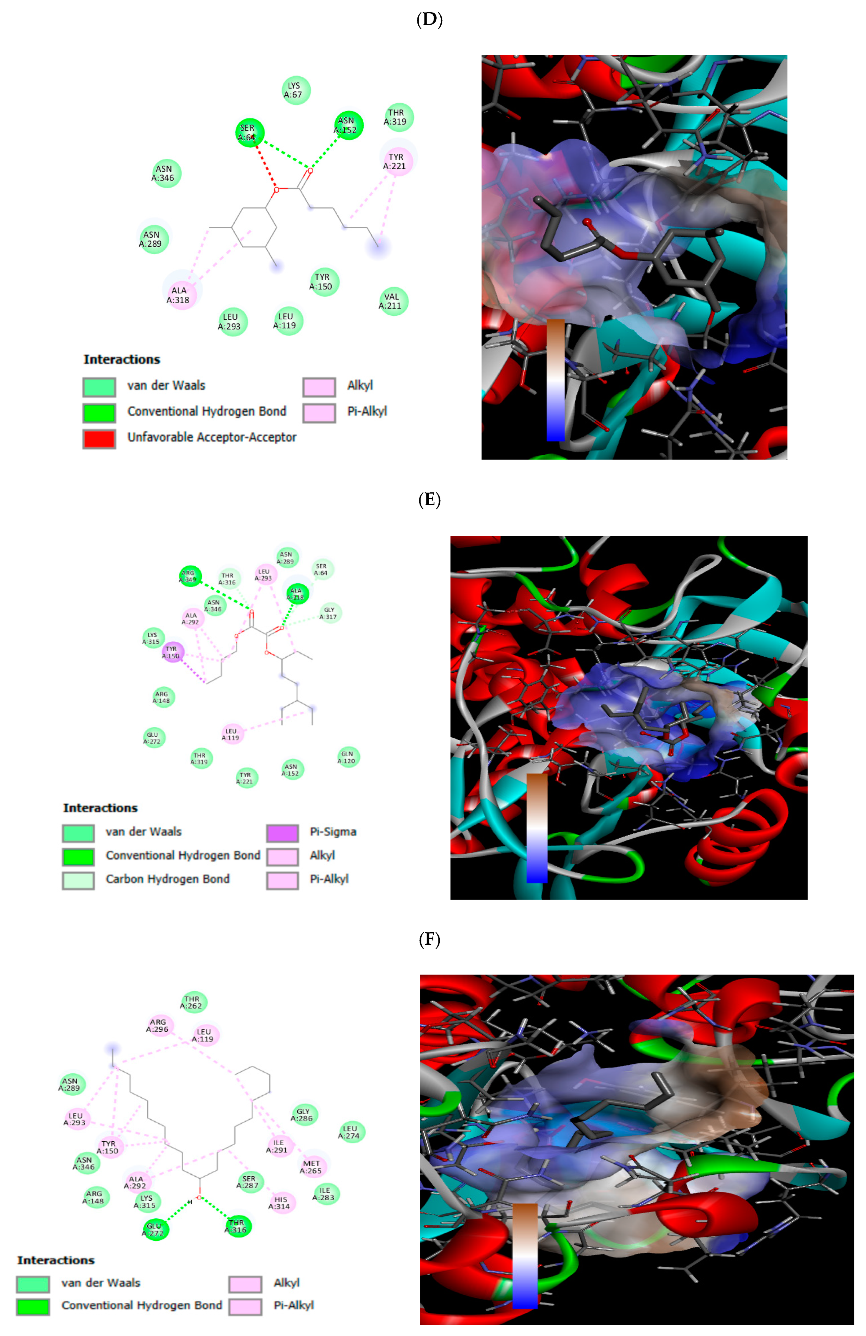 Antioxidants 13 00608 g004b