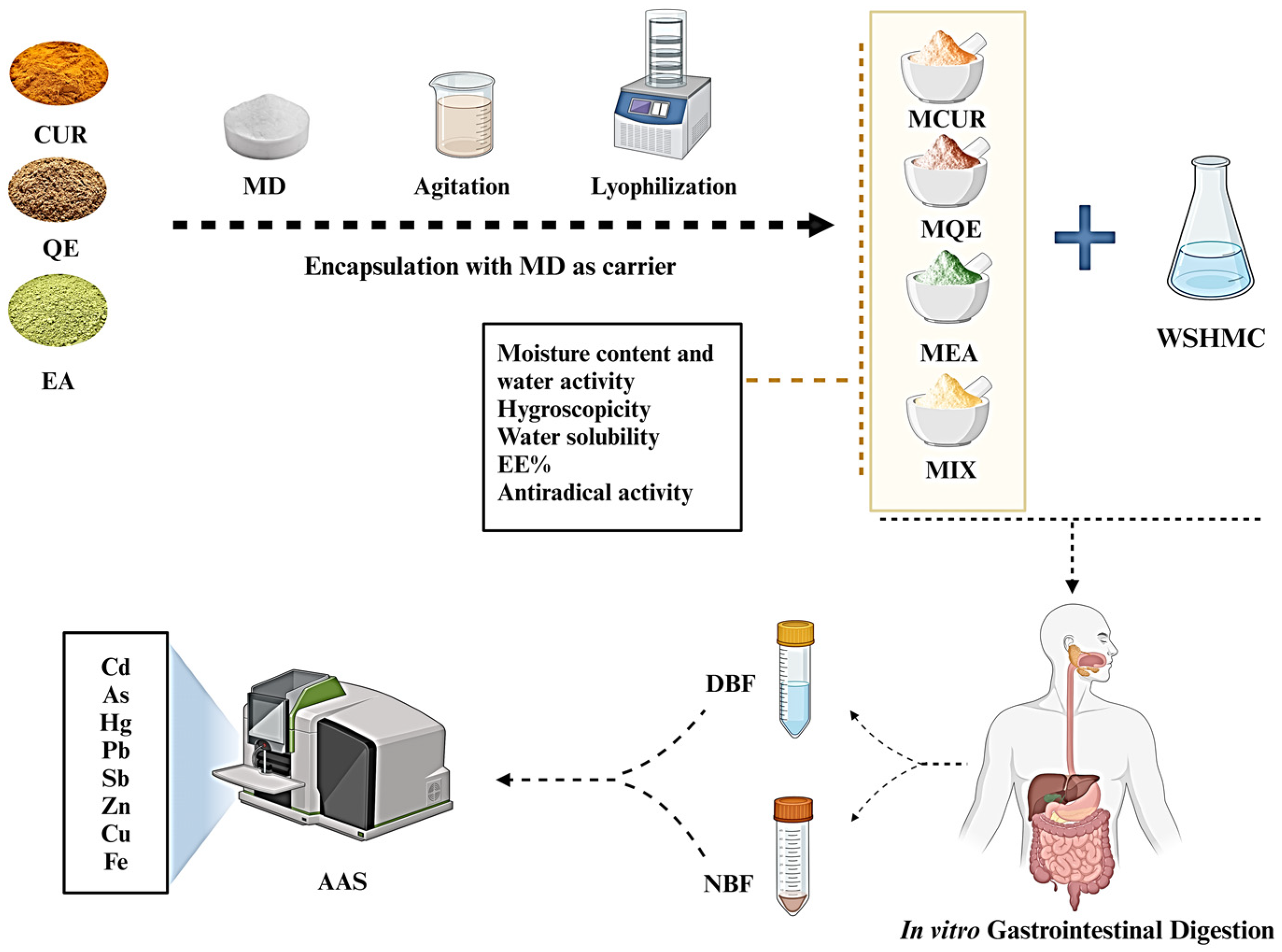 Antioxidants 13 00610 g002
