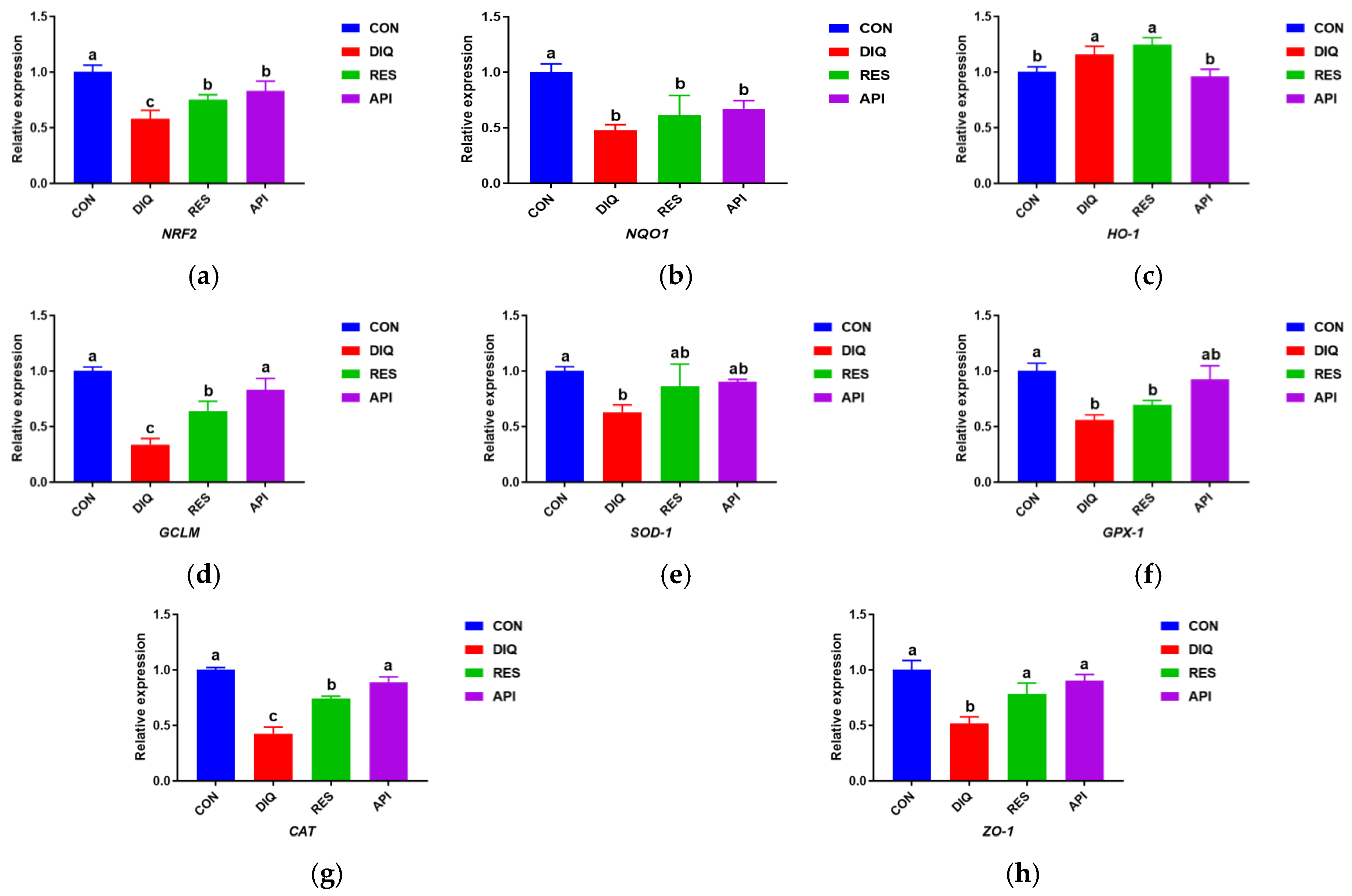 Antioxidants 13 00611 g004