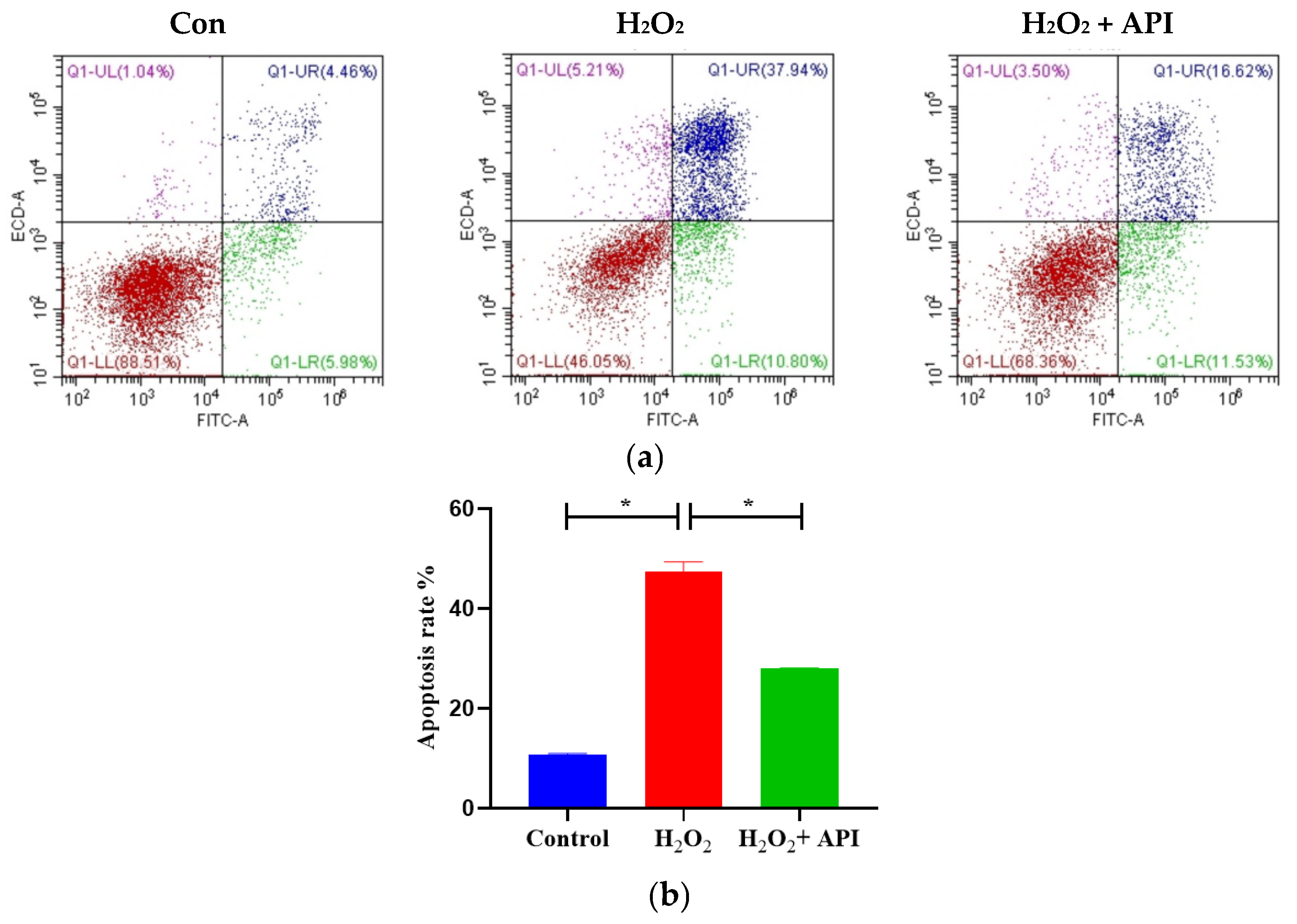 Antioxidants 13 00611 g008
