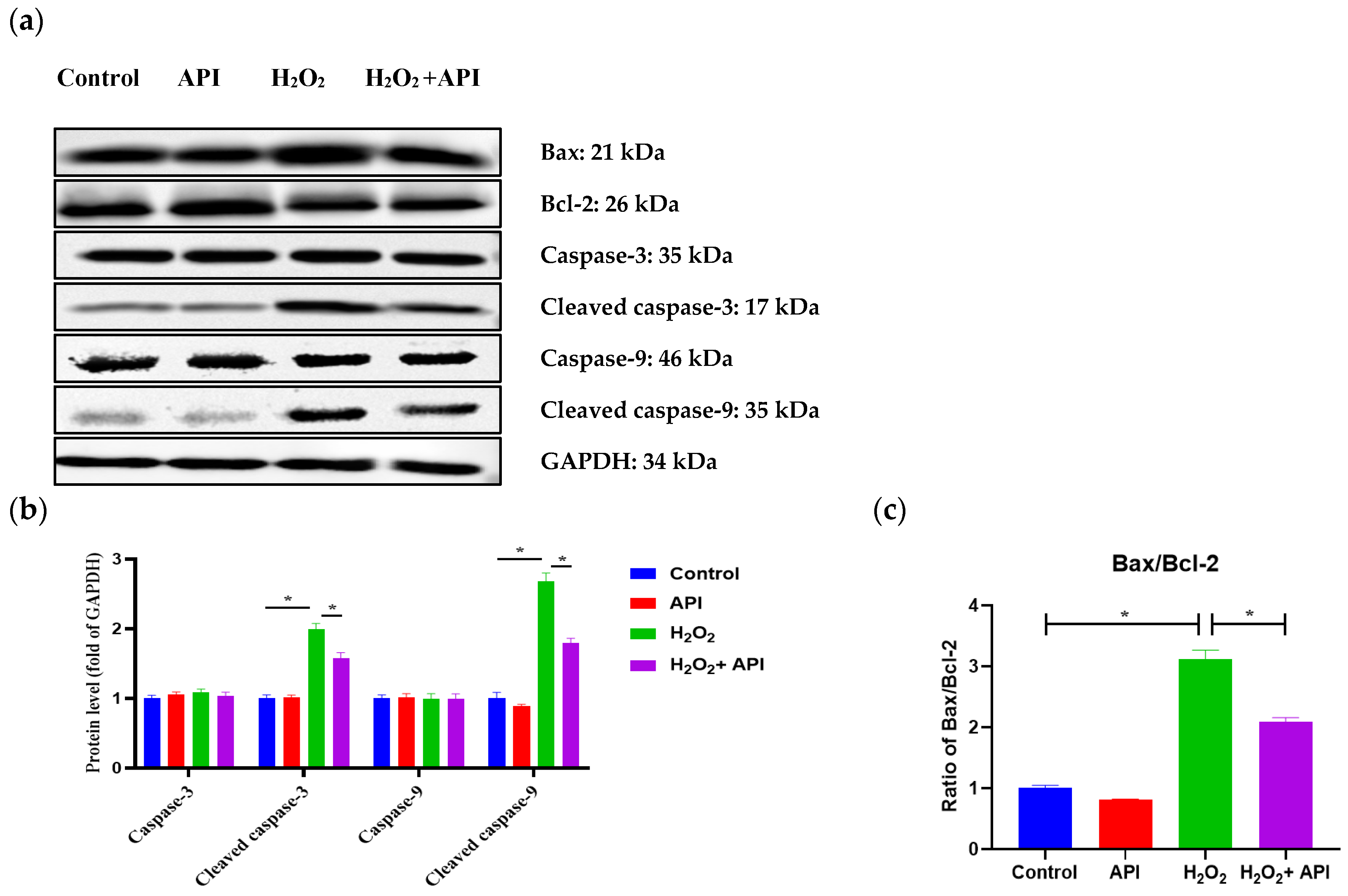 Antioxidants 13 00611 g010