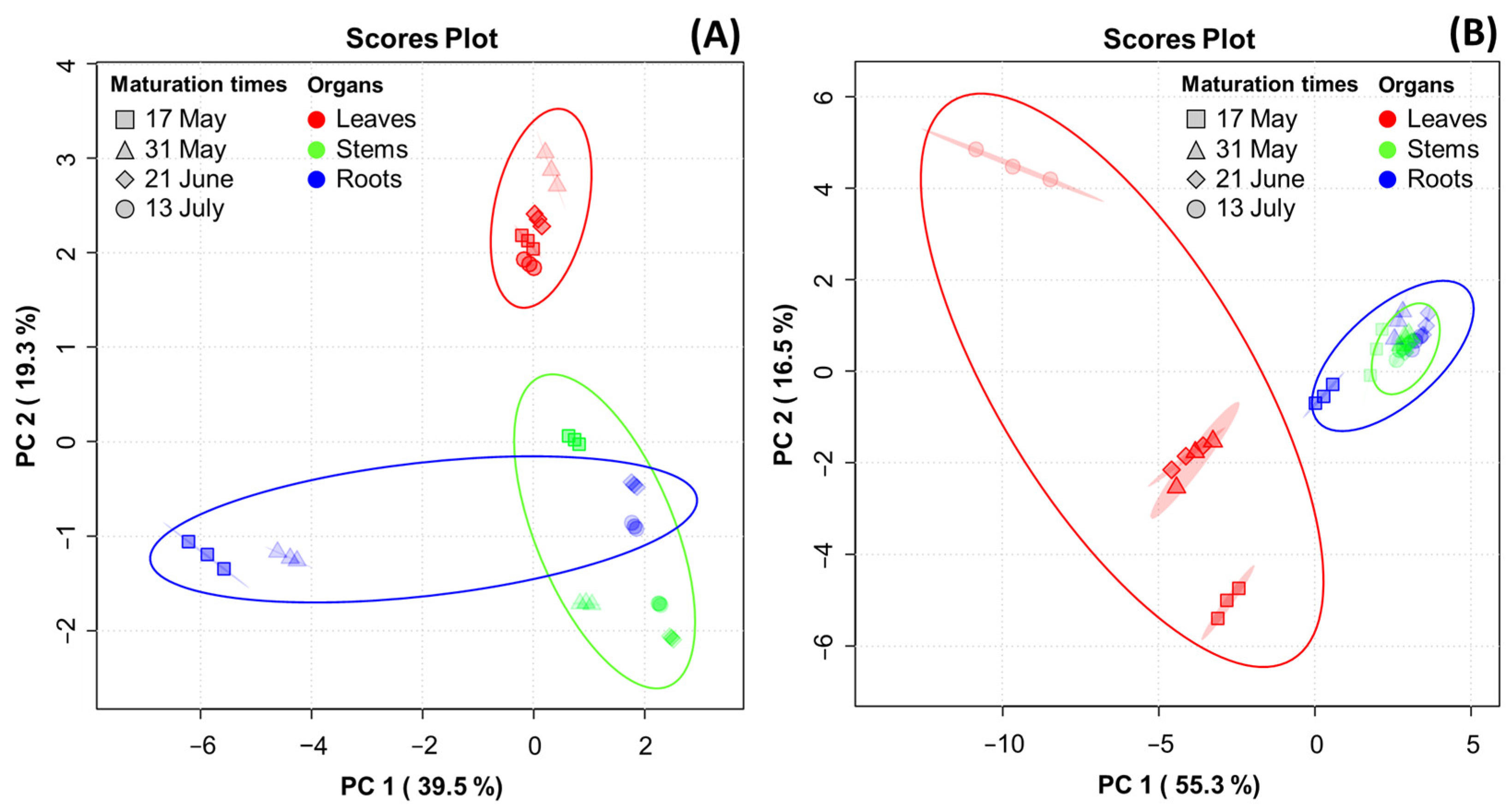 Antioxidants 13 00612 g004a