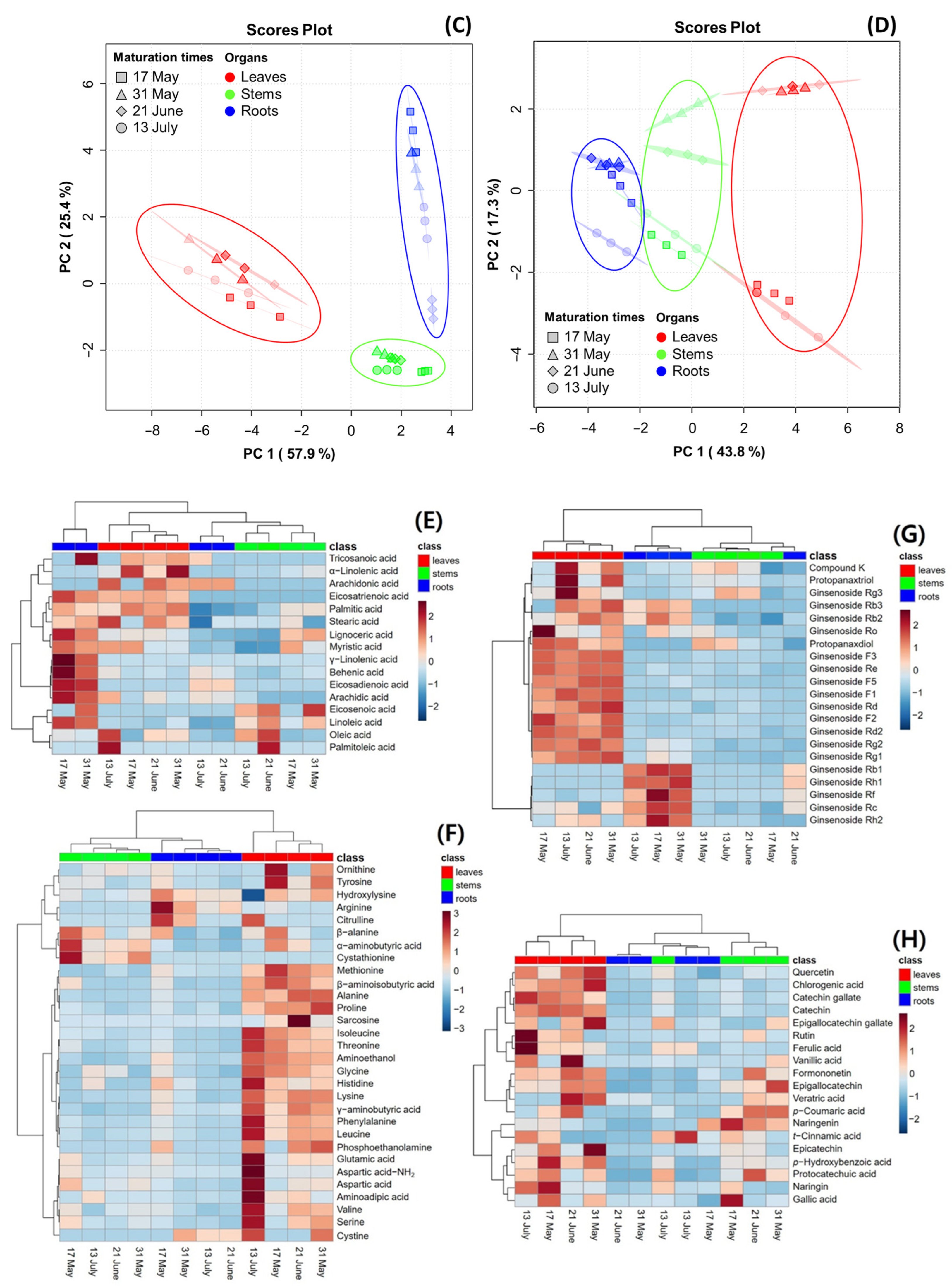 Antioxidants 13 00612 g004b