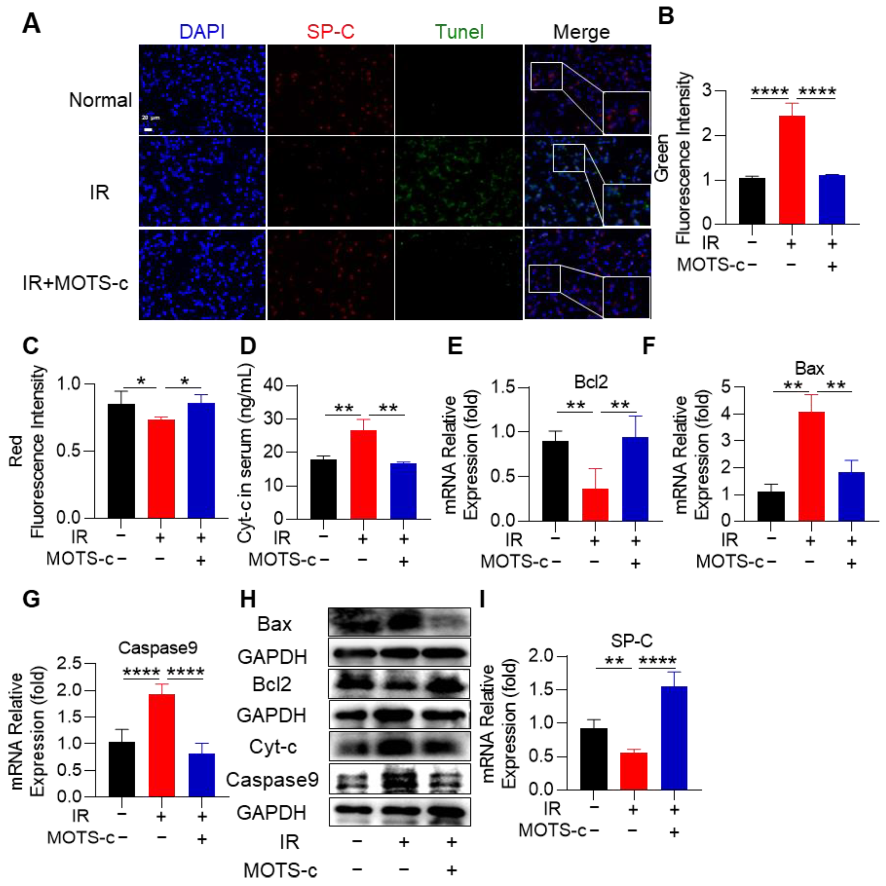 Antioxidants 13 00613 g002