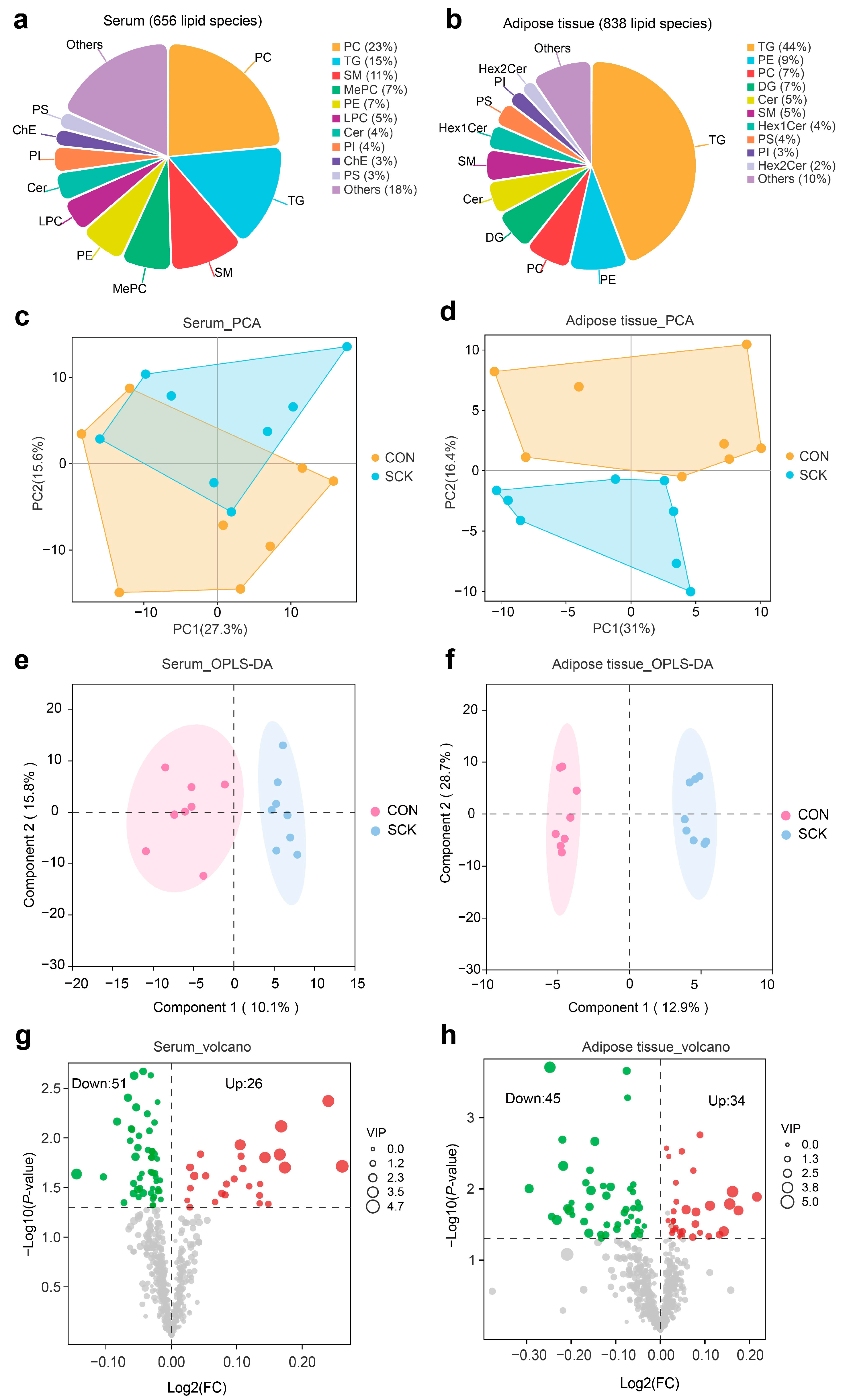 Antioxidants 13 00614 g006