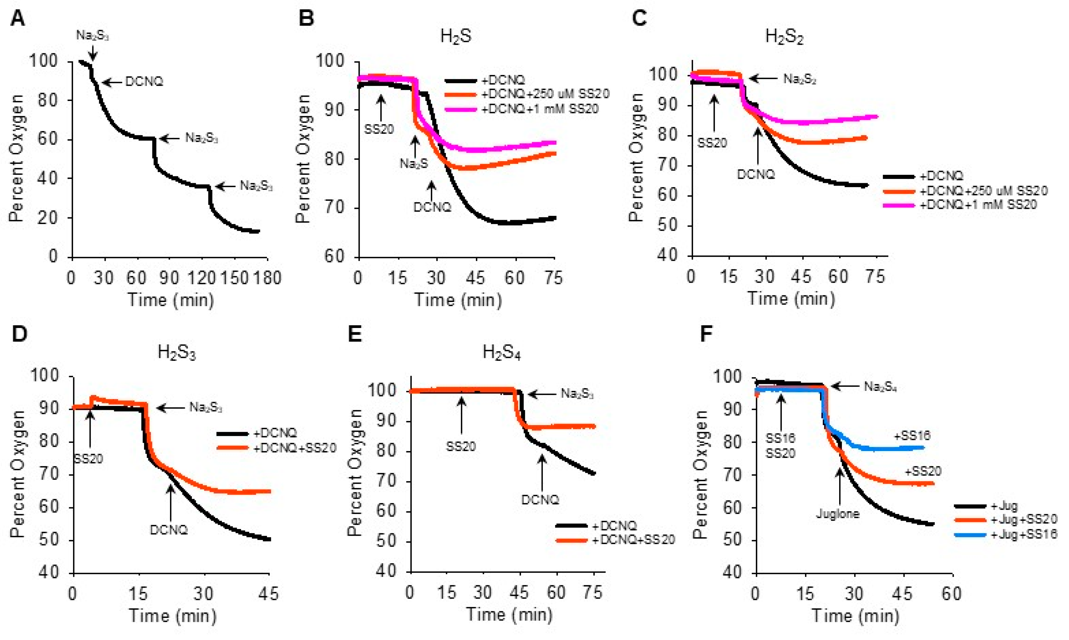 Antioxidants 13 00619 g004