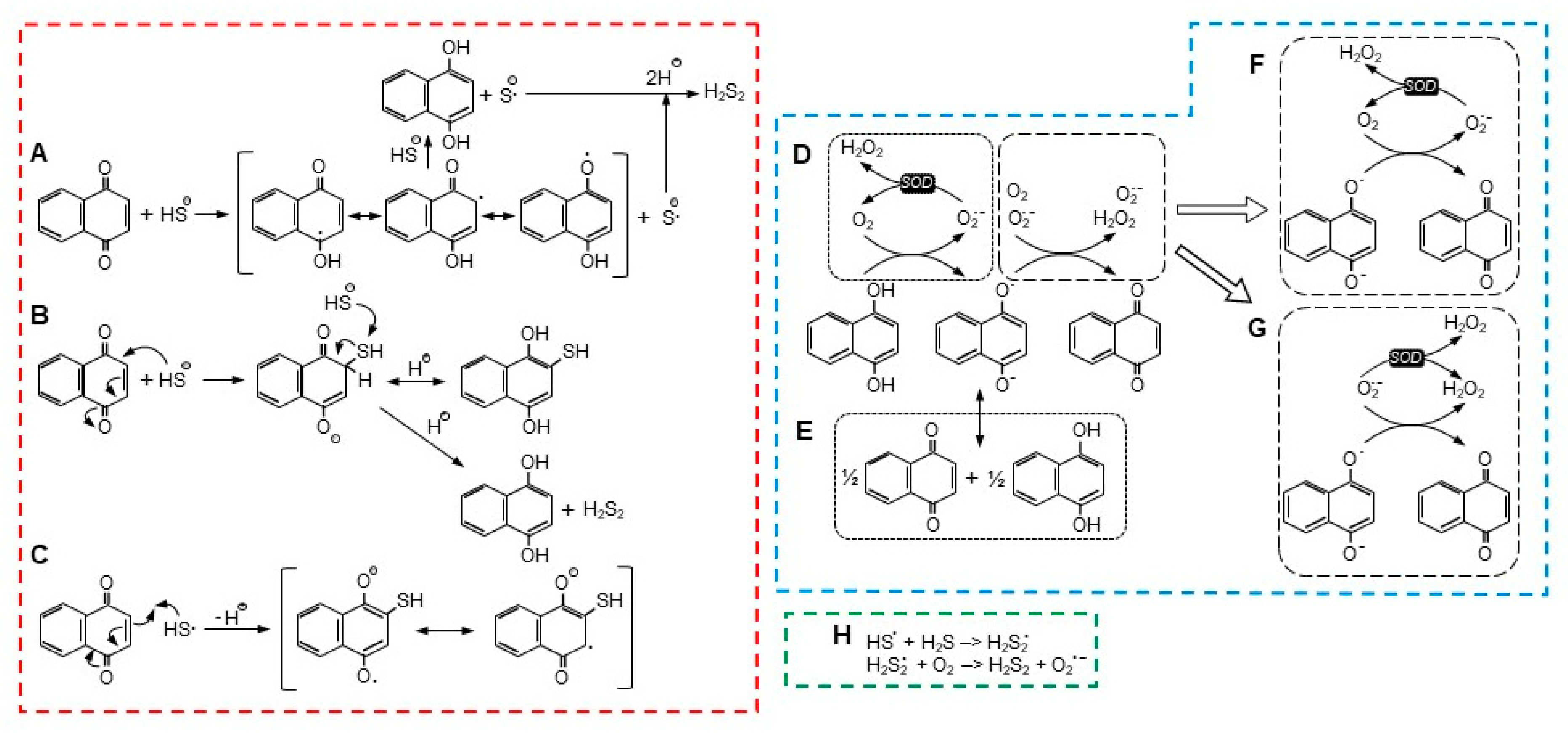 Antioxidants 13 00619 g007