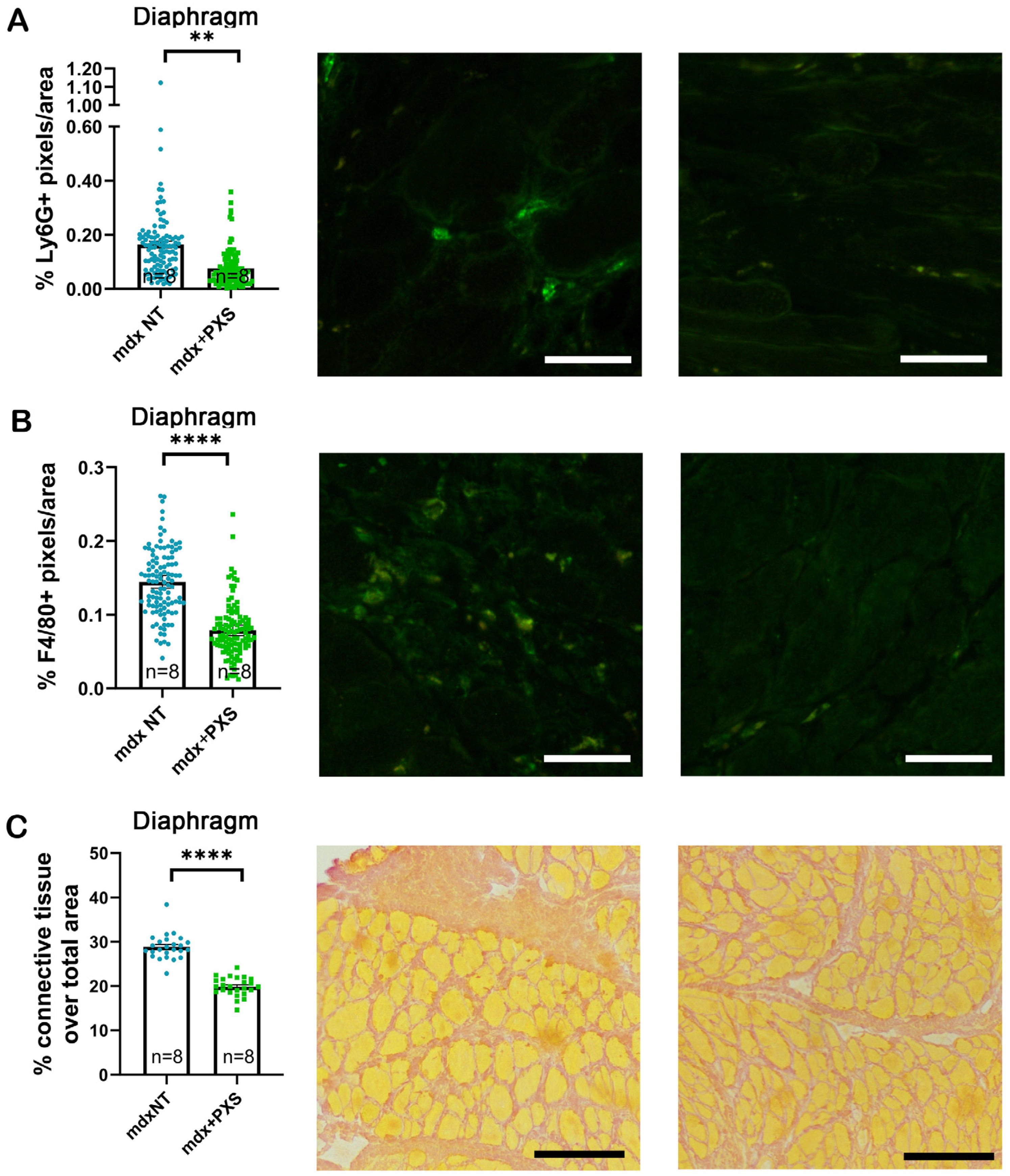 Antioxidants 13 00622 g002