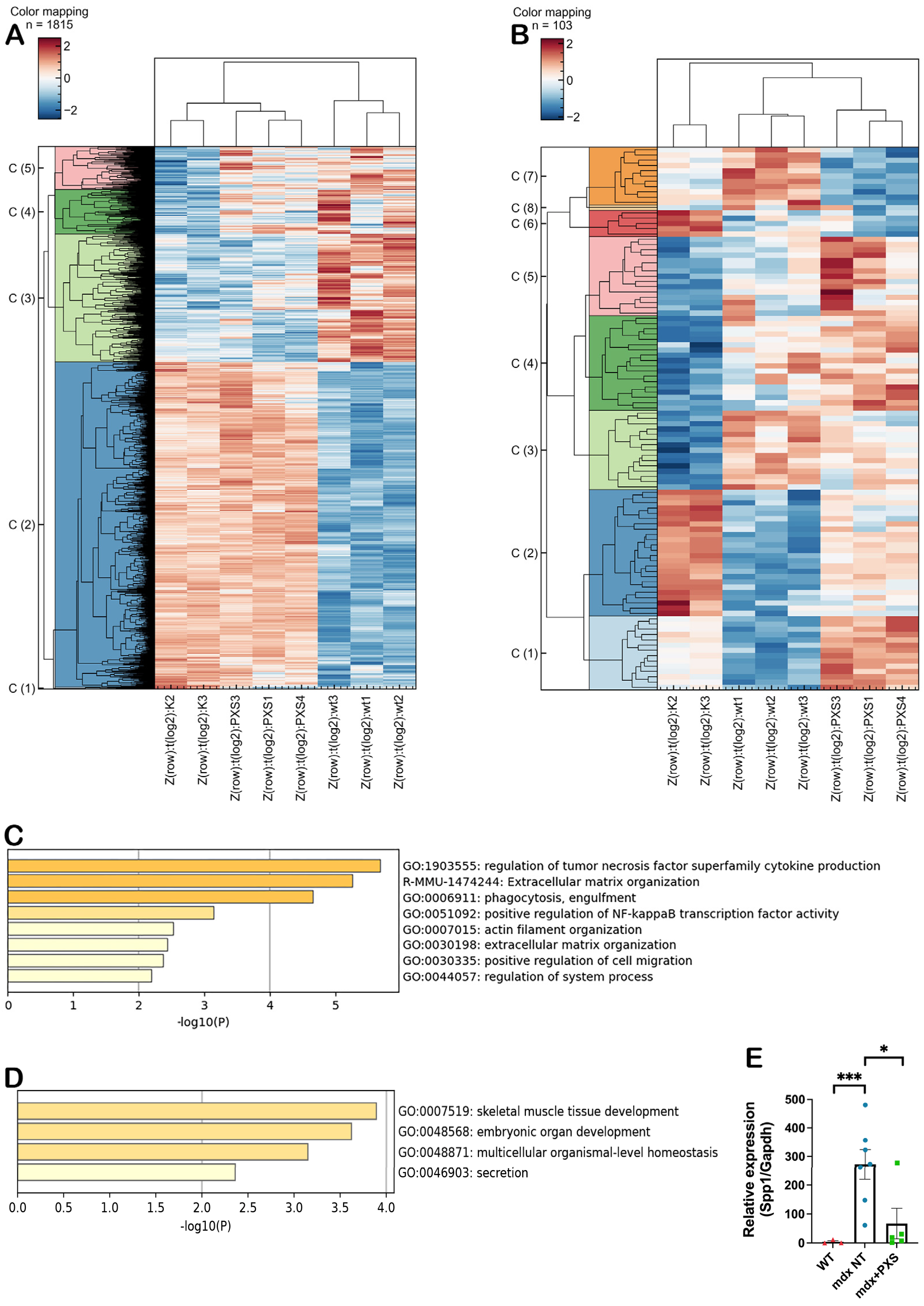 Antioxidants 13 00622 g004