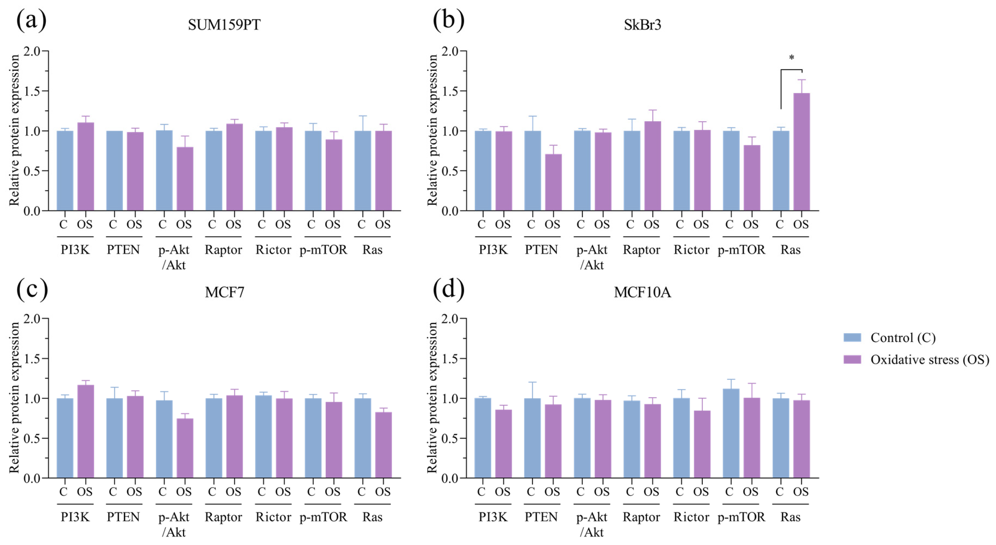 Antioxidants 13 00626 g005