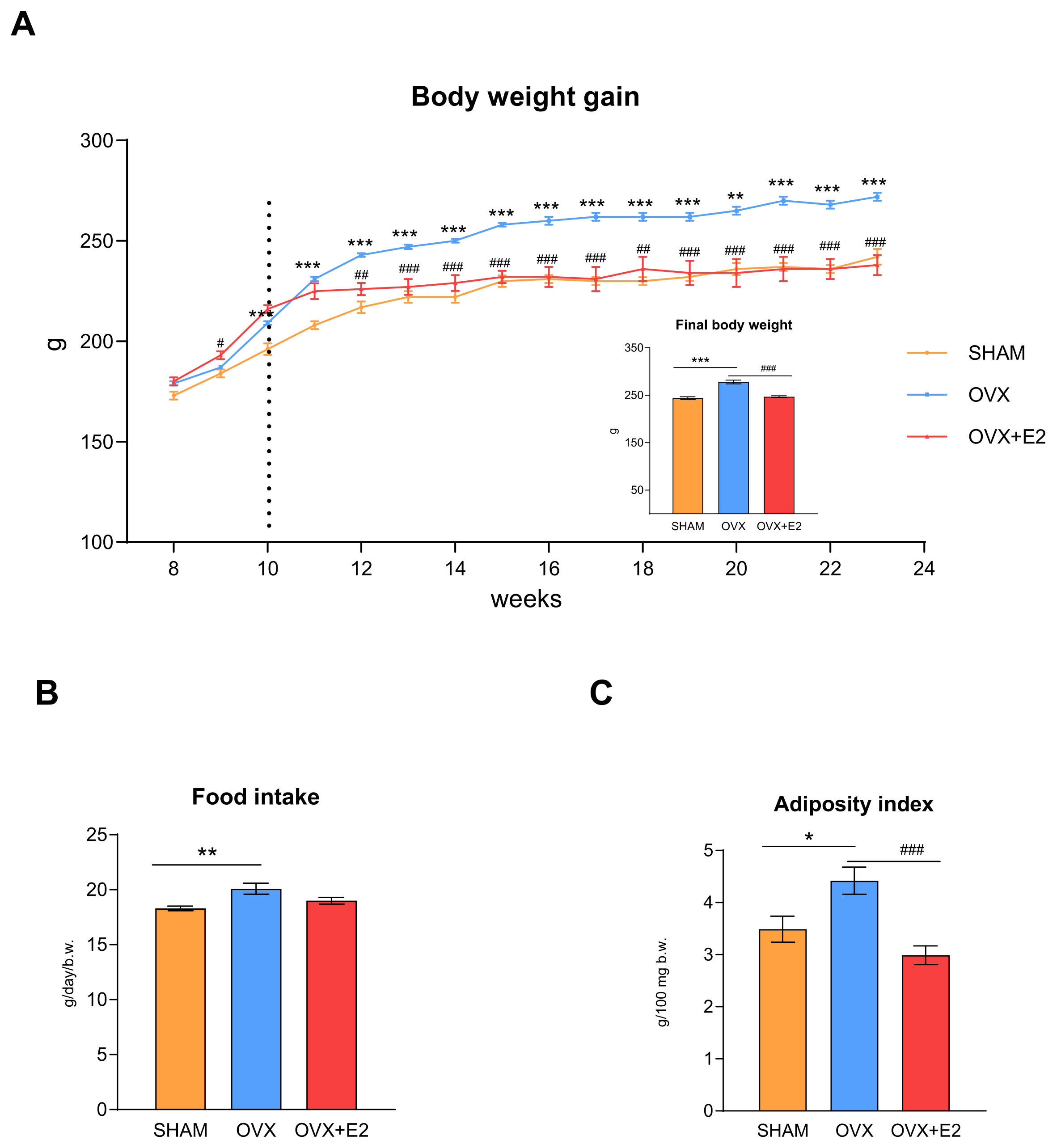 Antioxidants 13 00627 g001