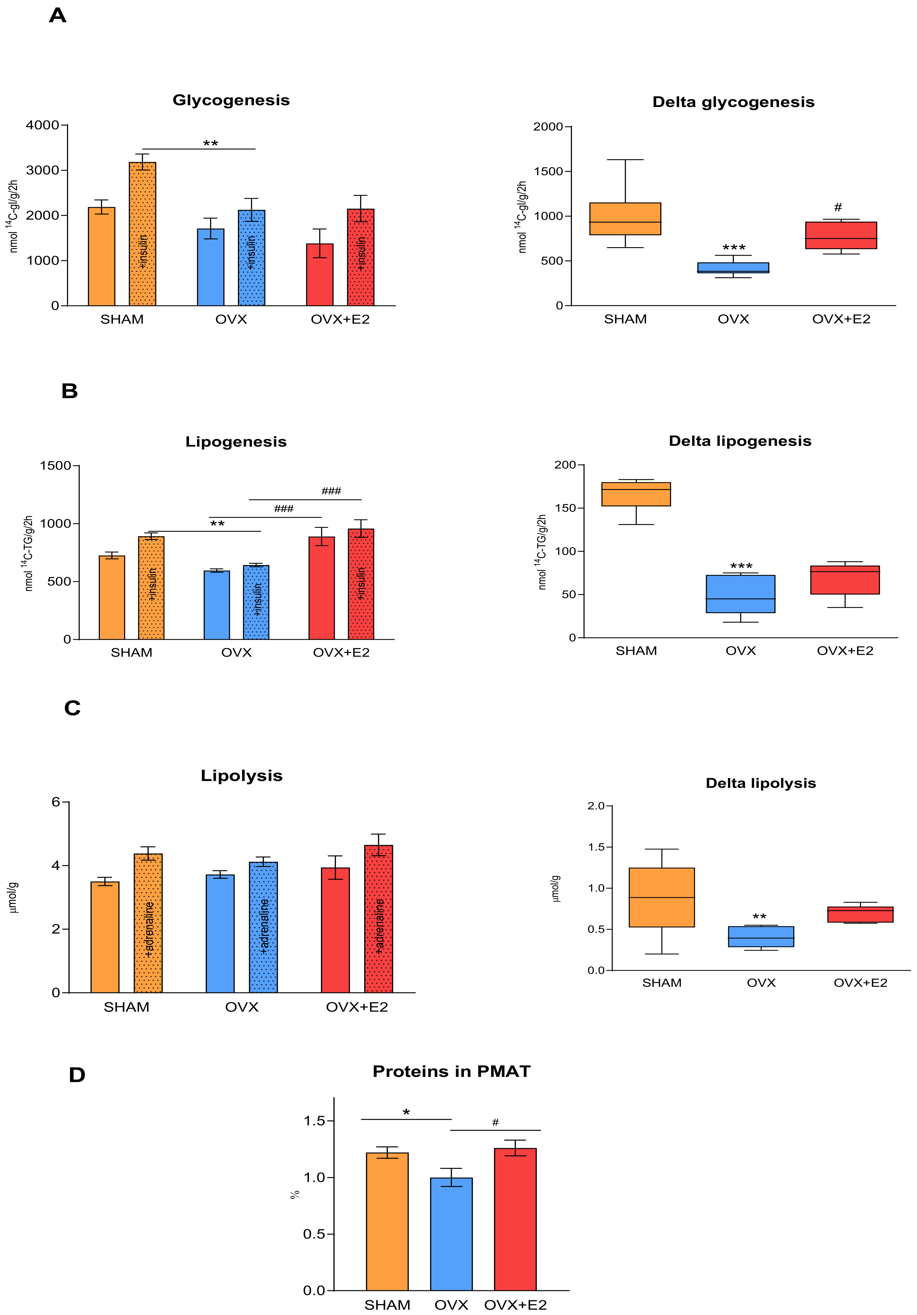 Antioxidants 13 00627 g004