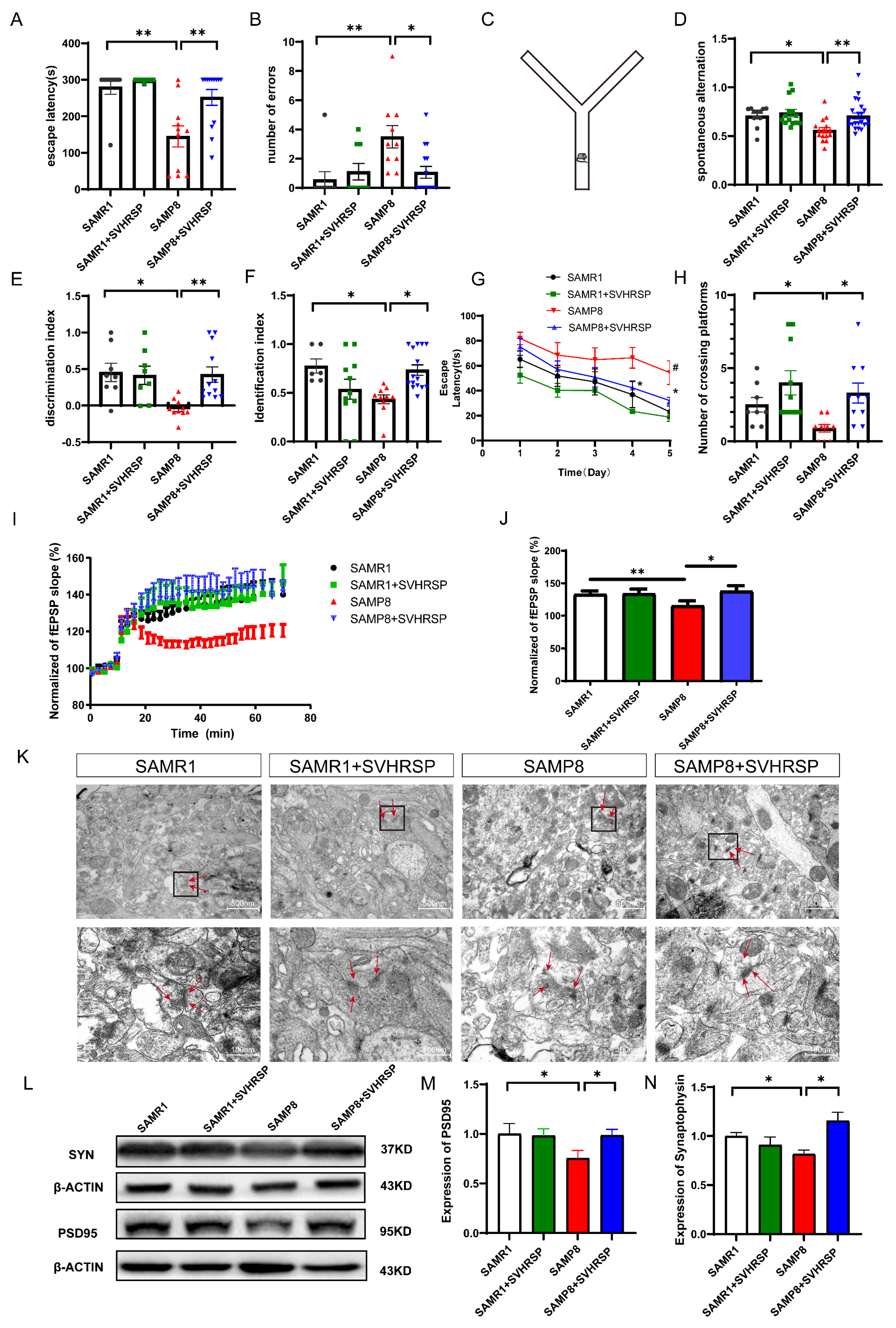Antioxidants 13 00628 g001