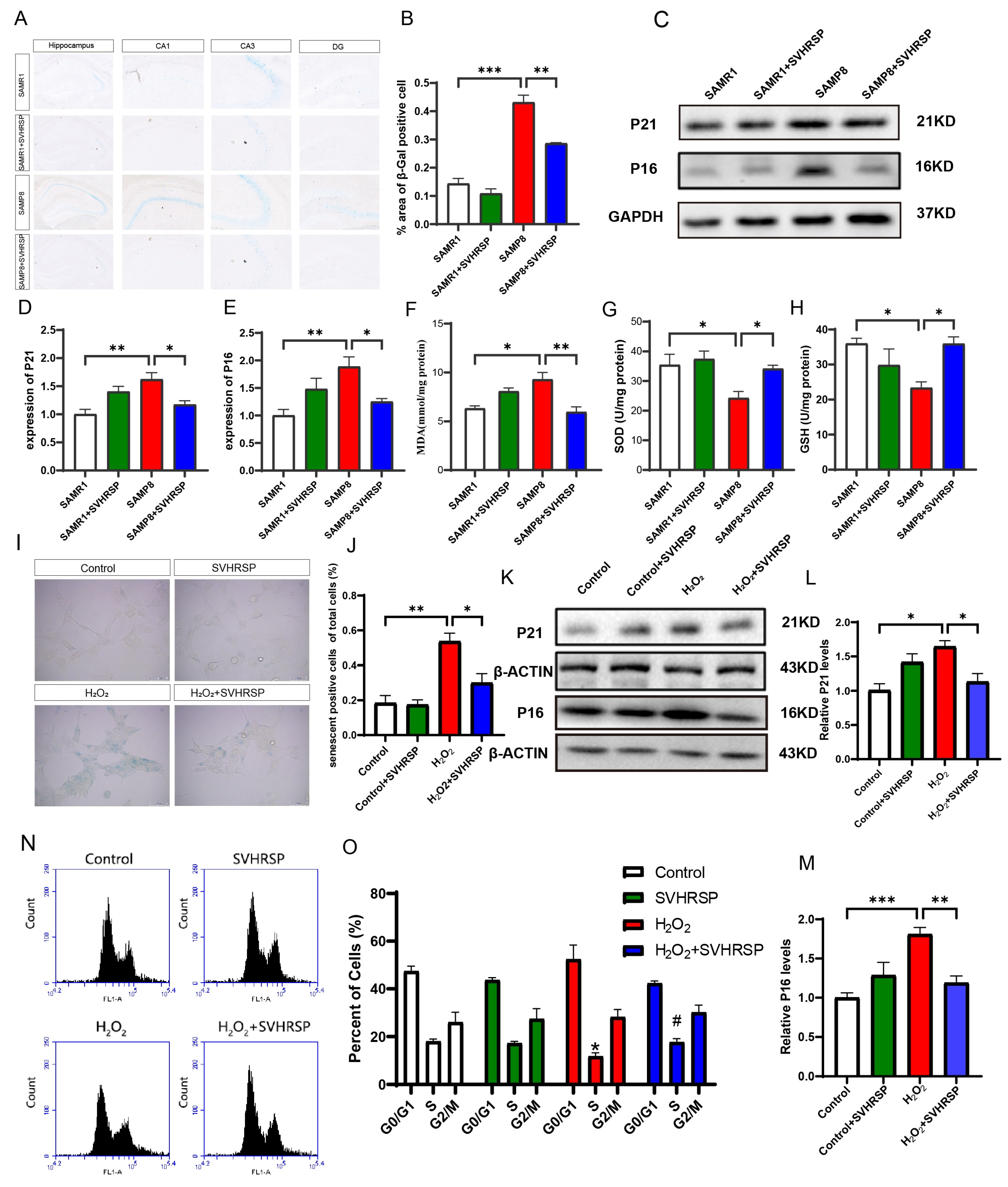 Antioxidants 13 00628 g002