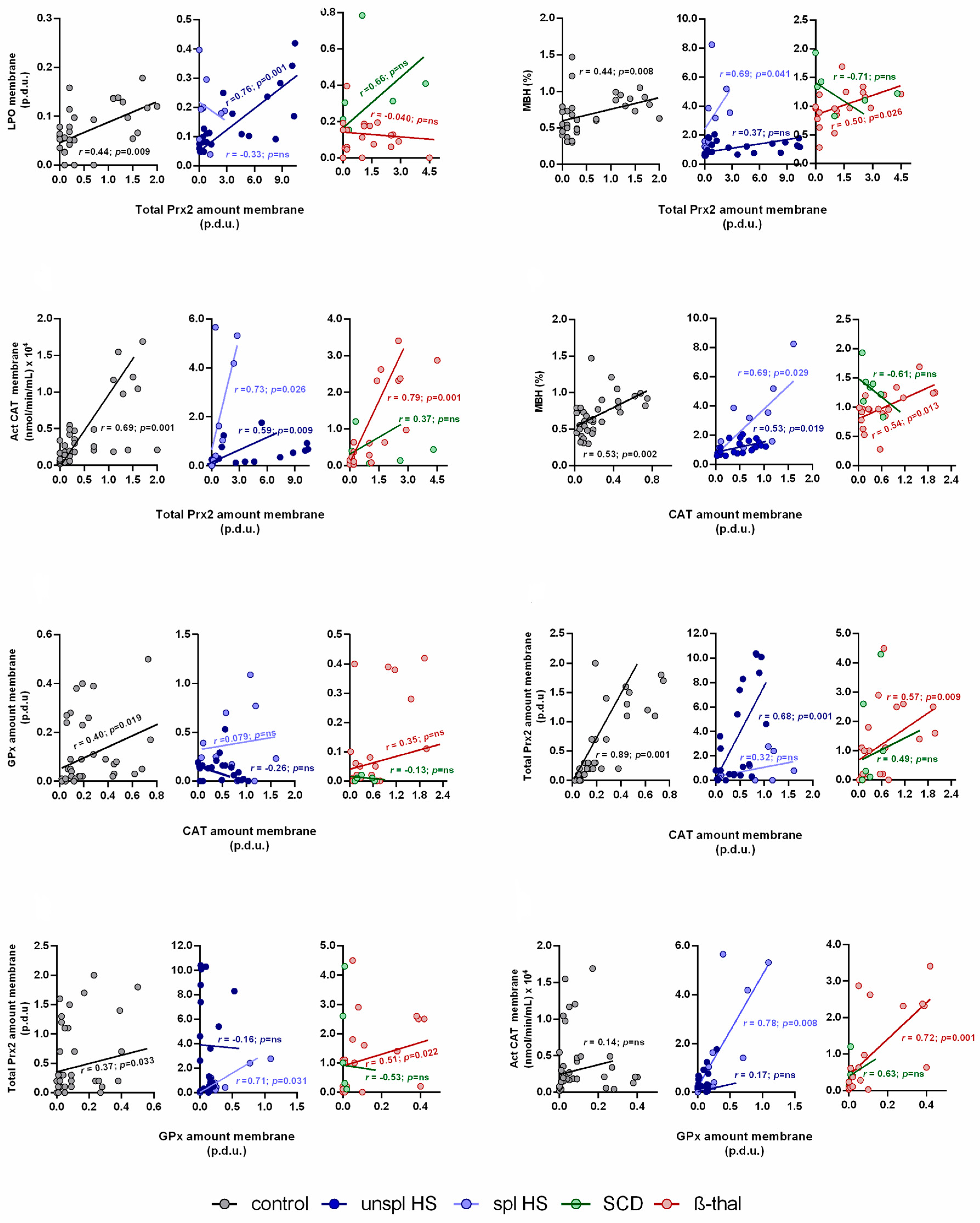 Antioxidants 13 00629 g002