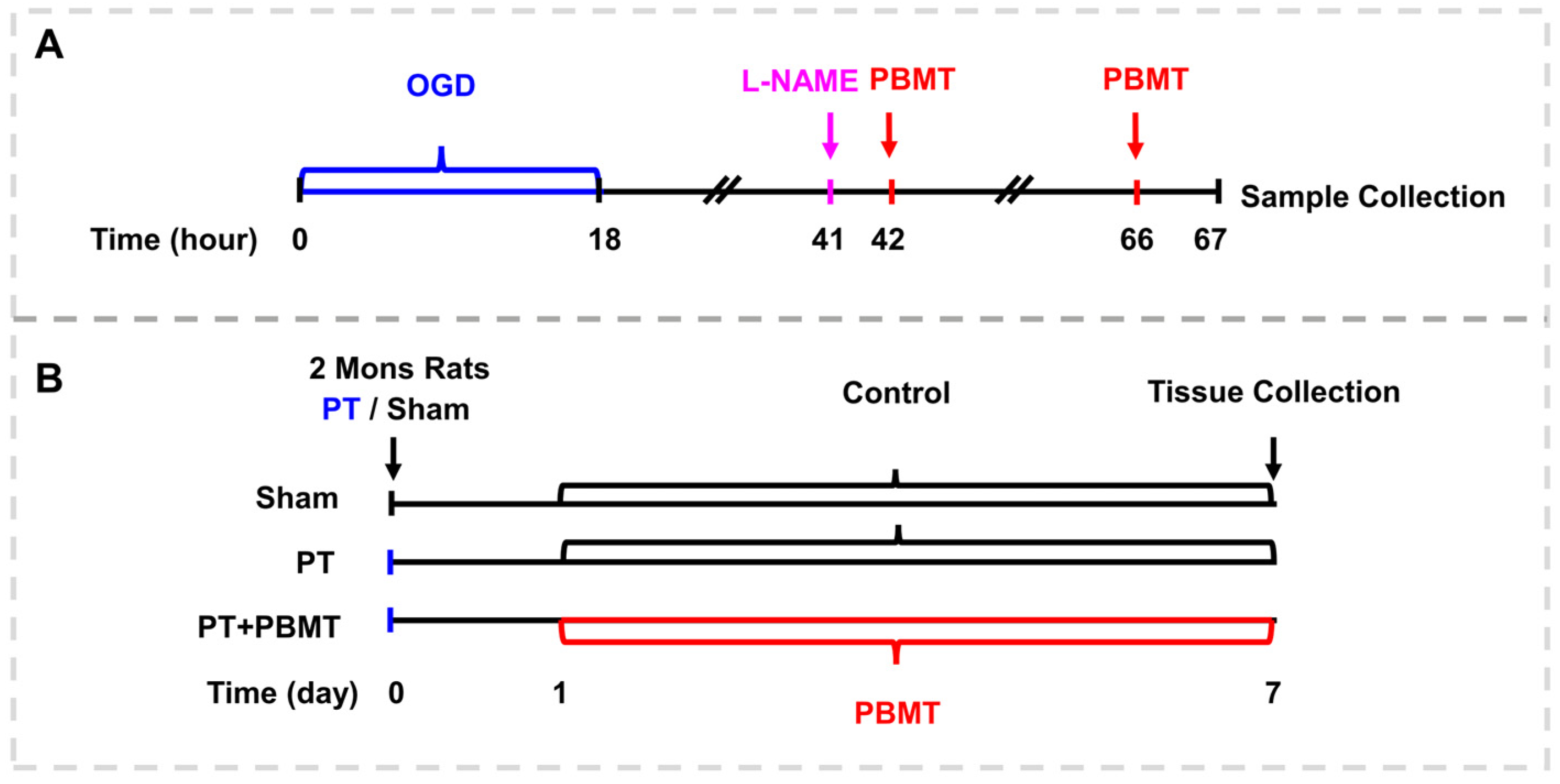 Antioxidants 13 00633 g001