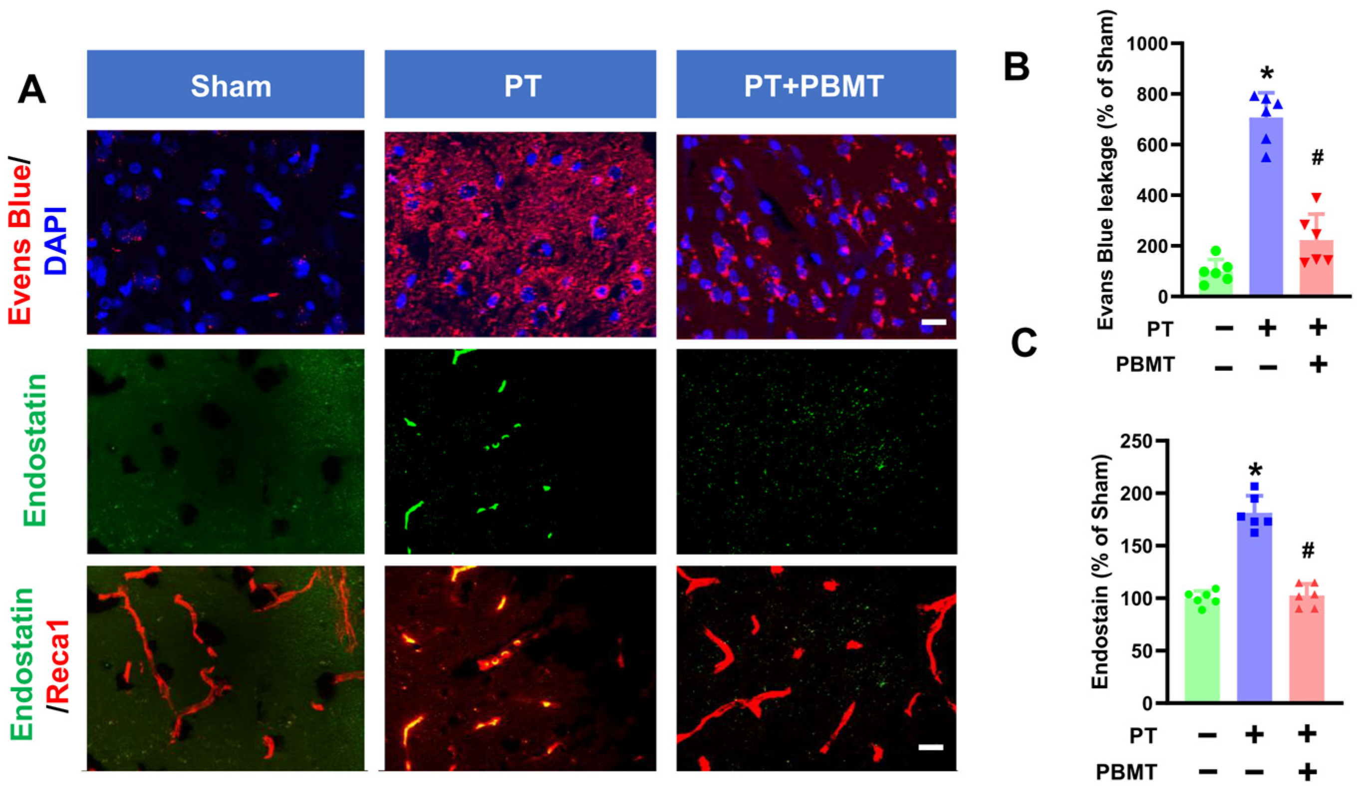 Antioxidants 13 00633 g002