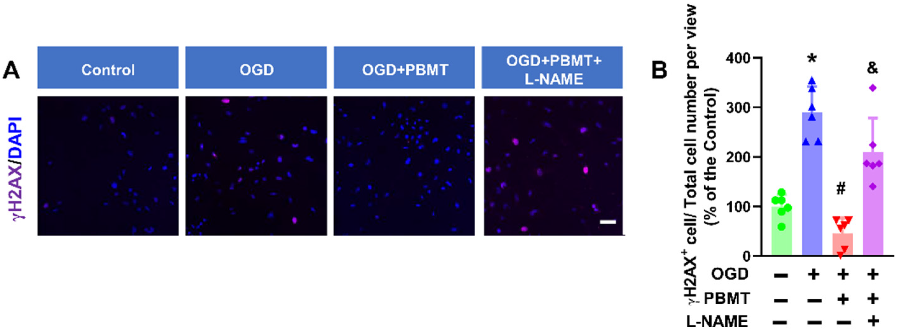 Antioxidants 13 00633 g007