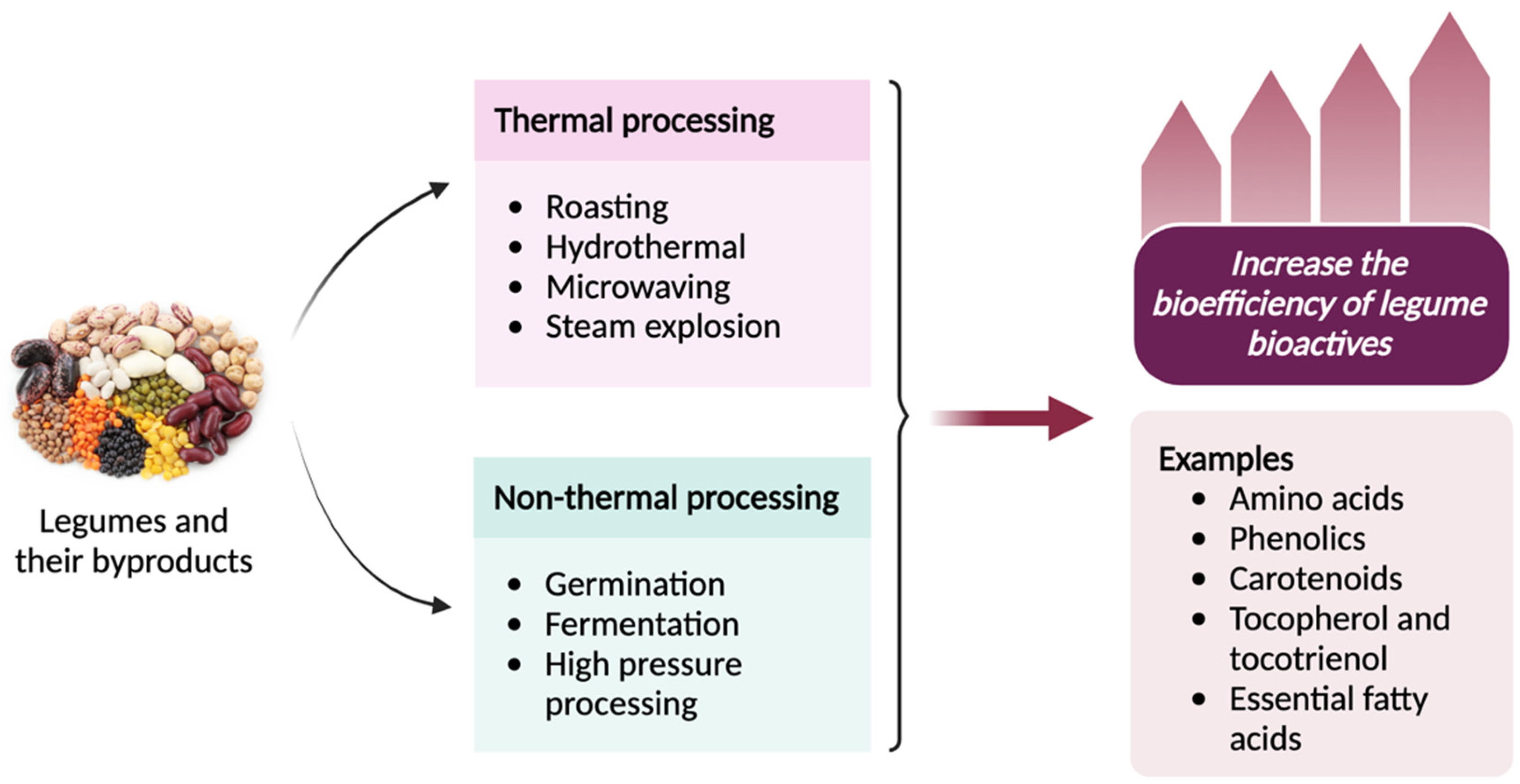 Antioxidants 13 00636 g002