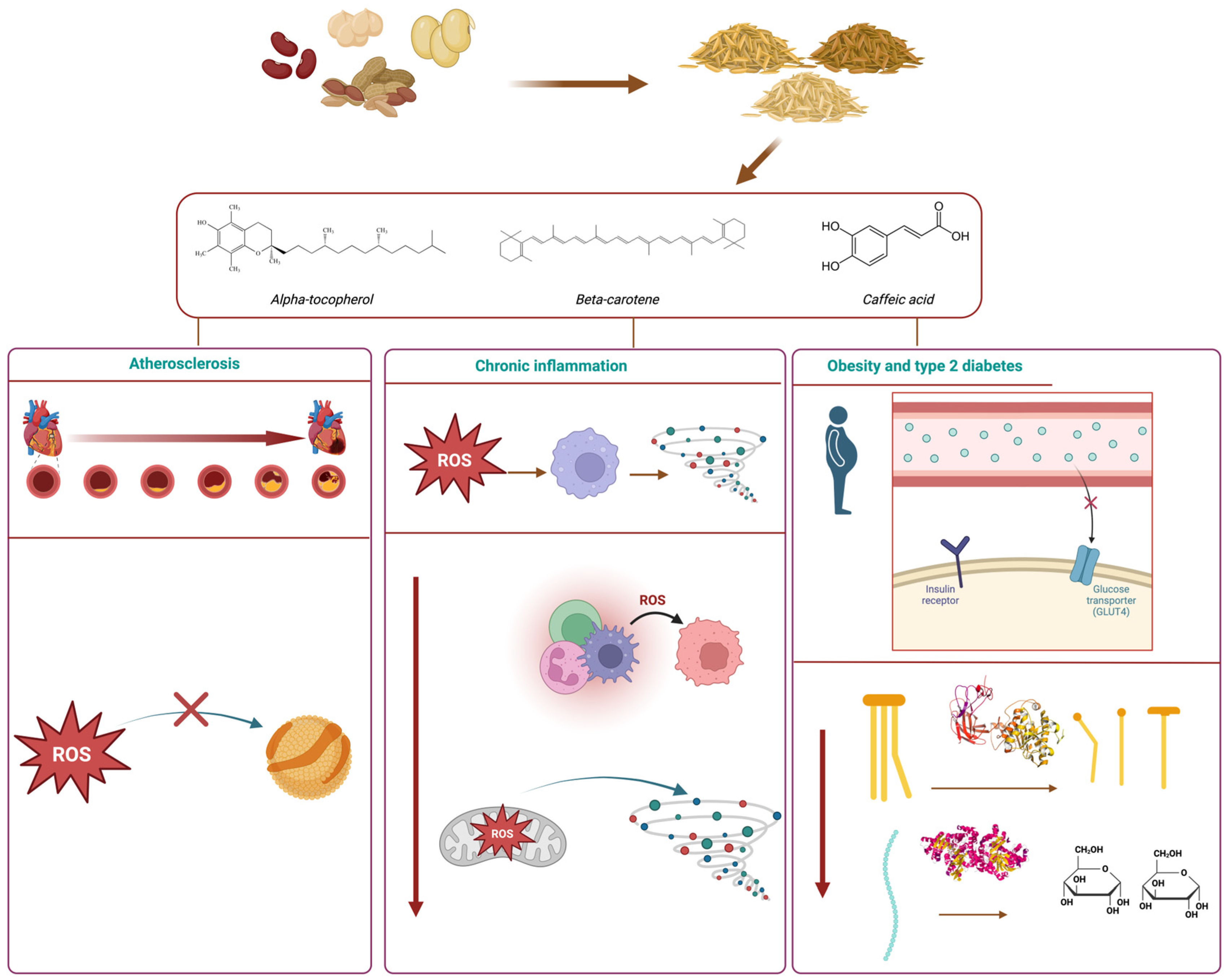 Antioxidants 13 00636 g003