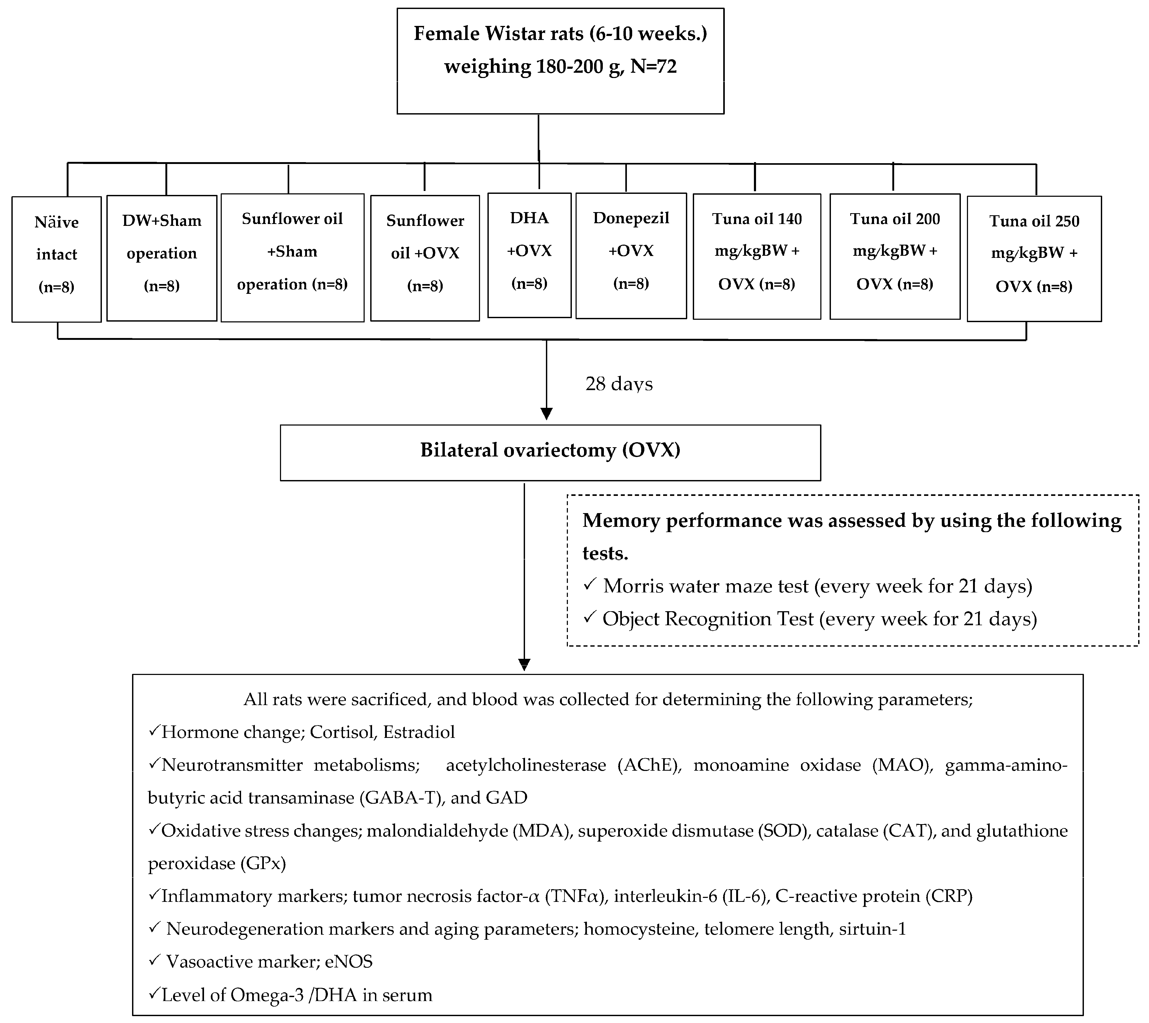 Antioxidants 13 00637 g001