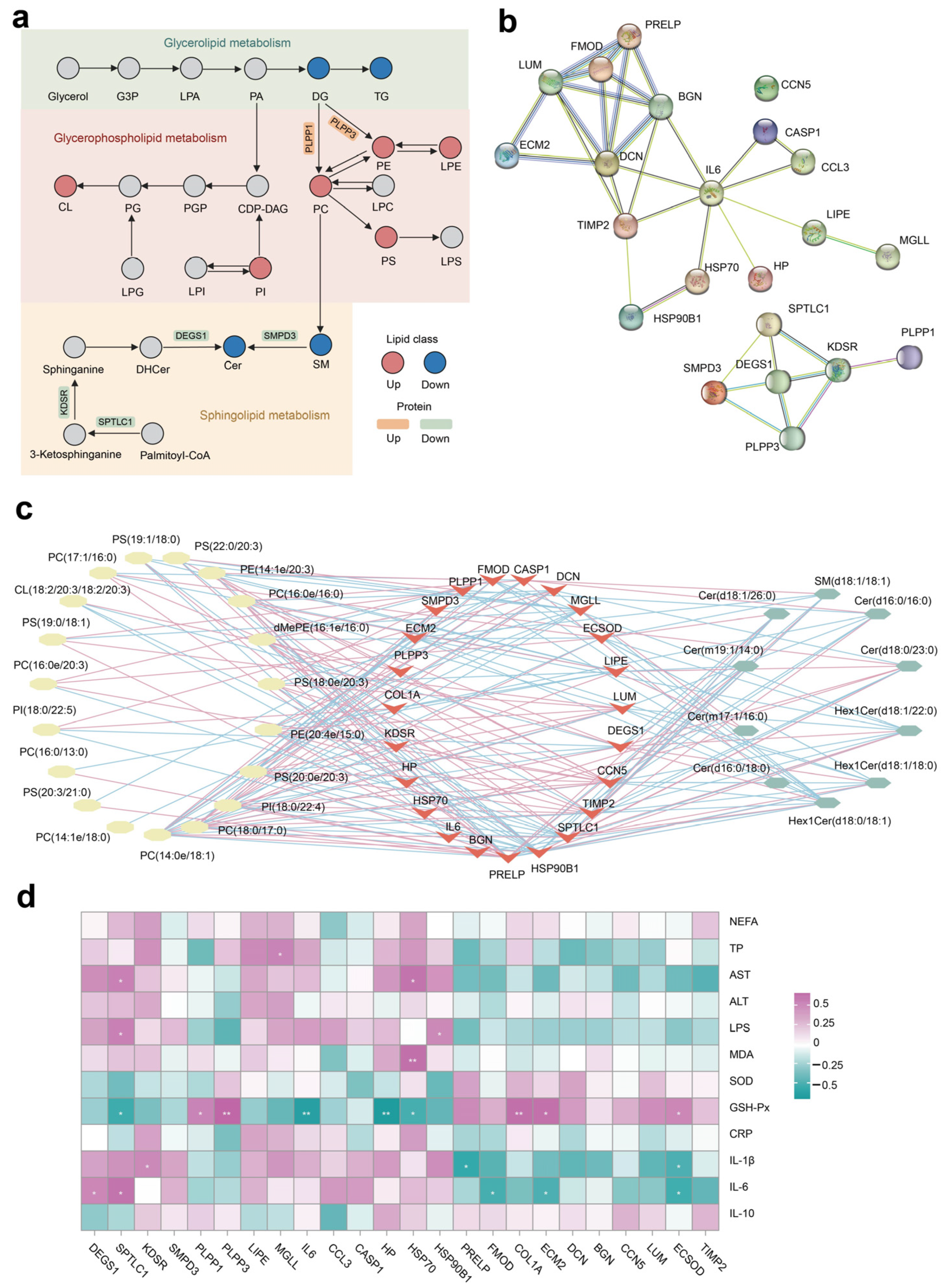 Antioxidants 13 00638 g006
