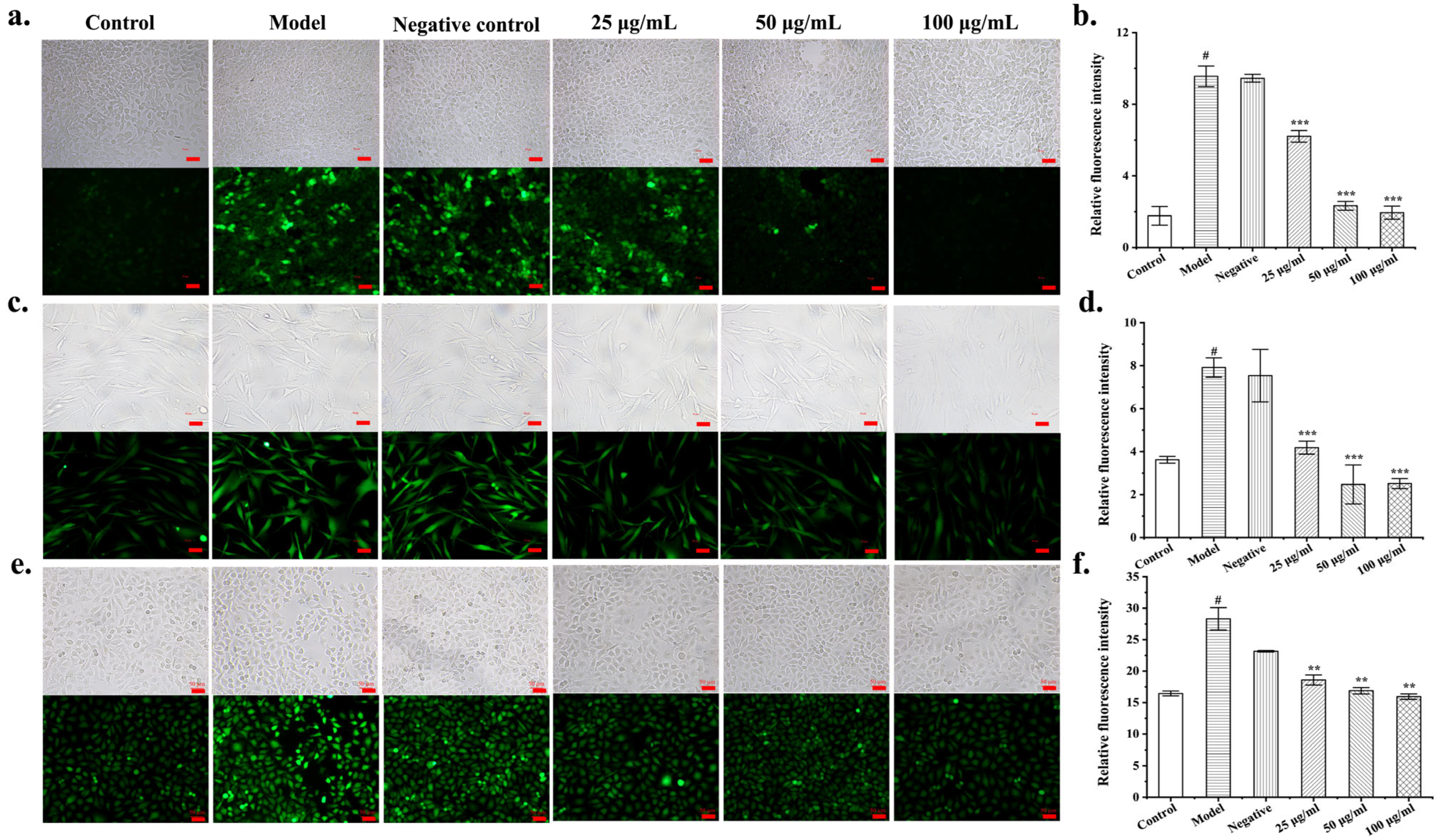 Antioxidants 13 00639 g002