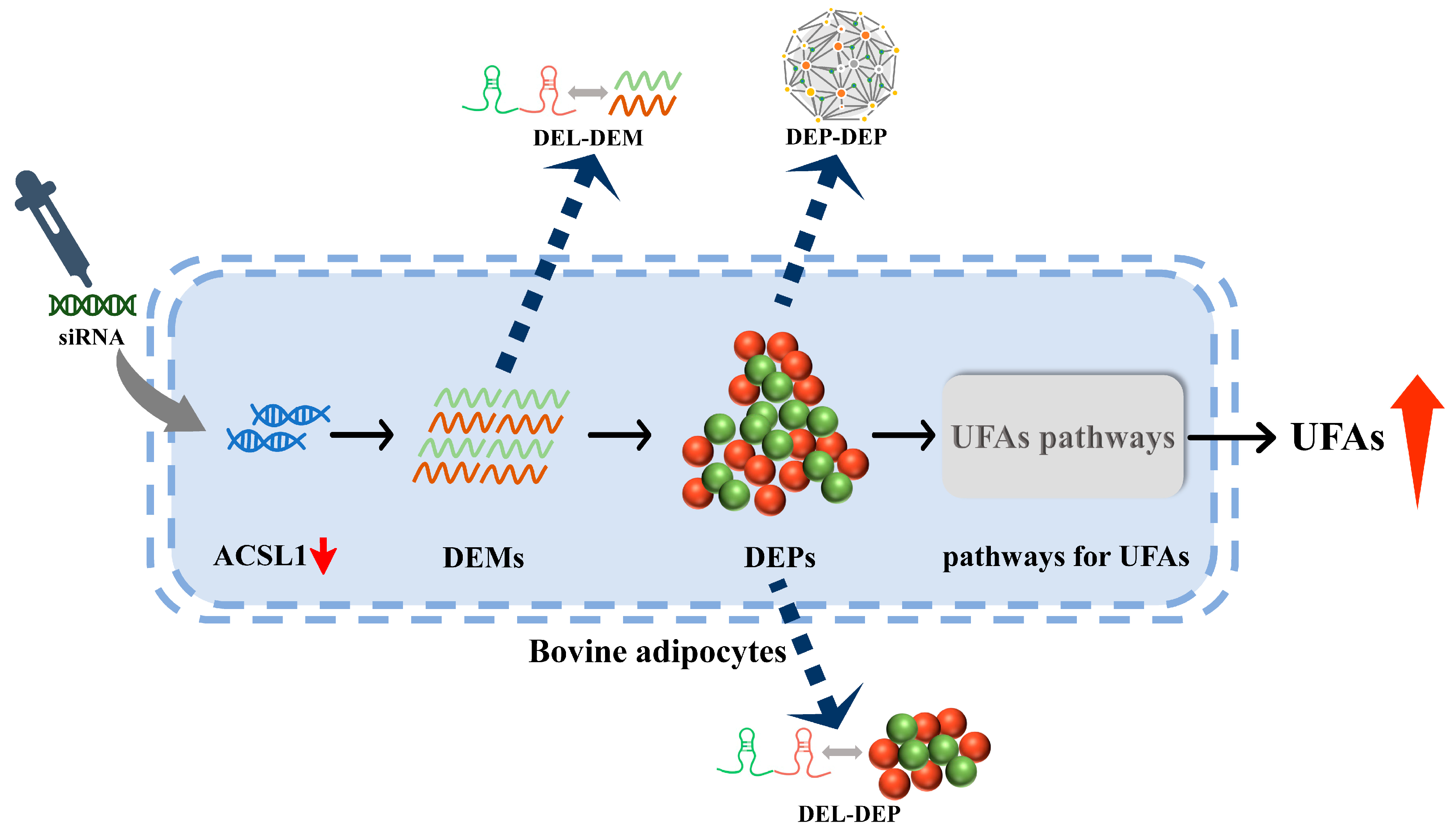 Antioxidants 13 00641 g009