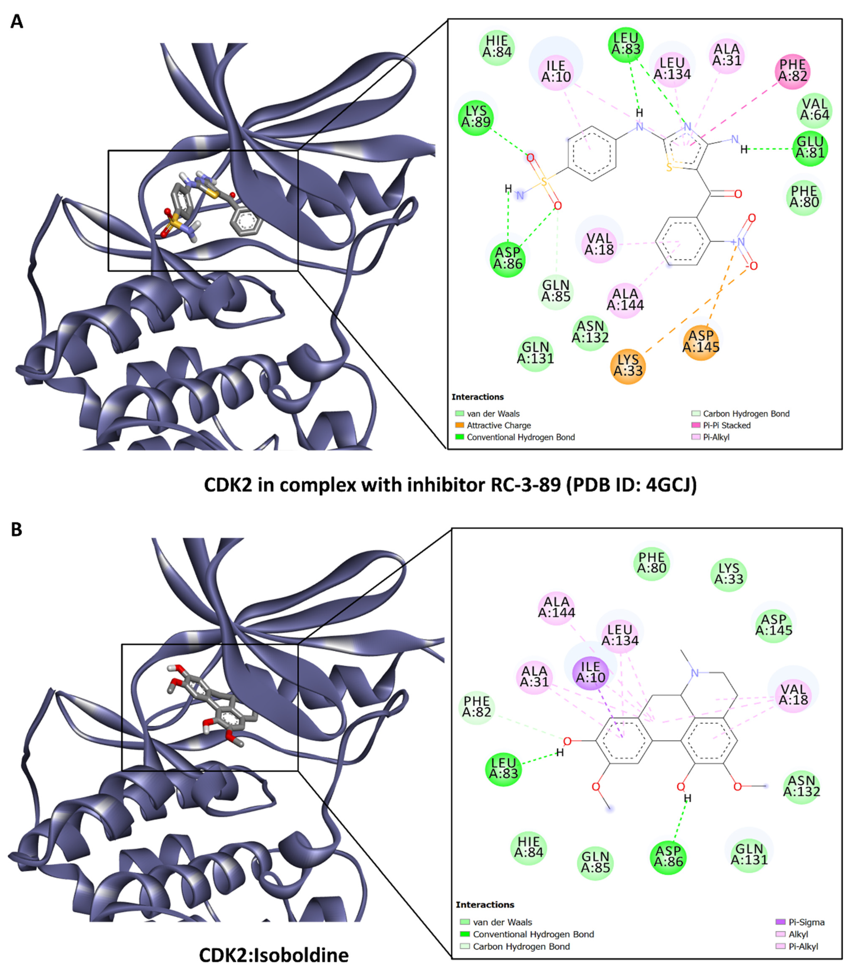 Antioxidants 13 00643 g005