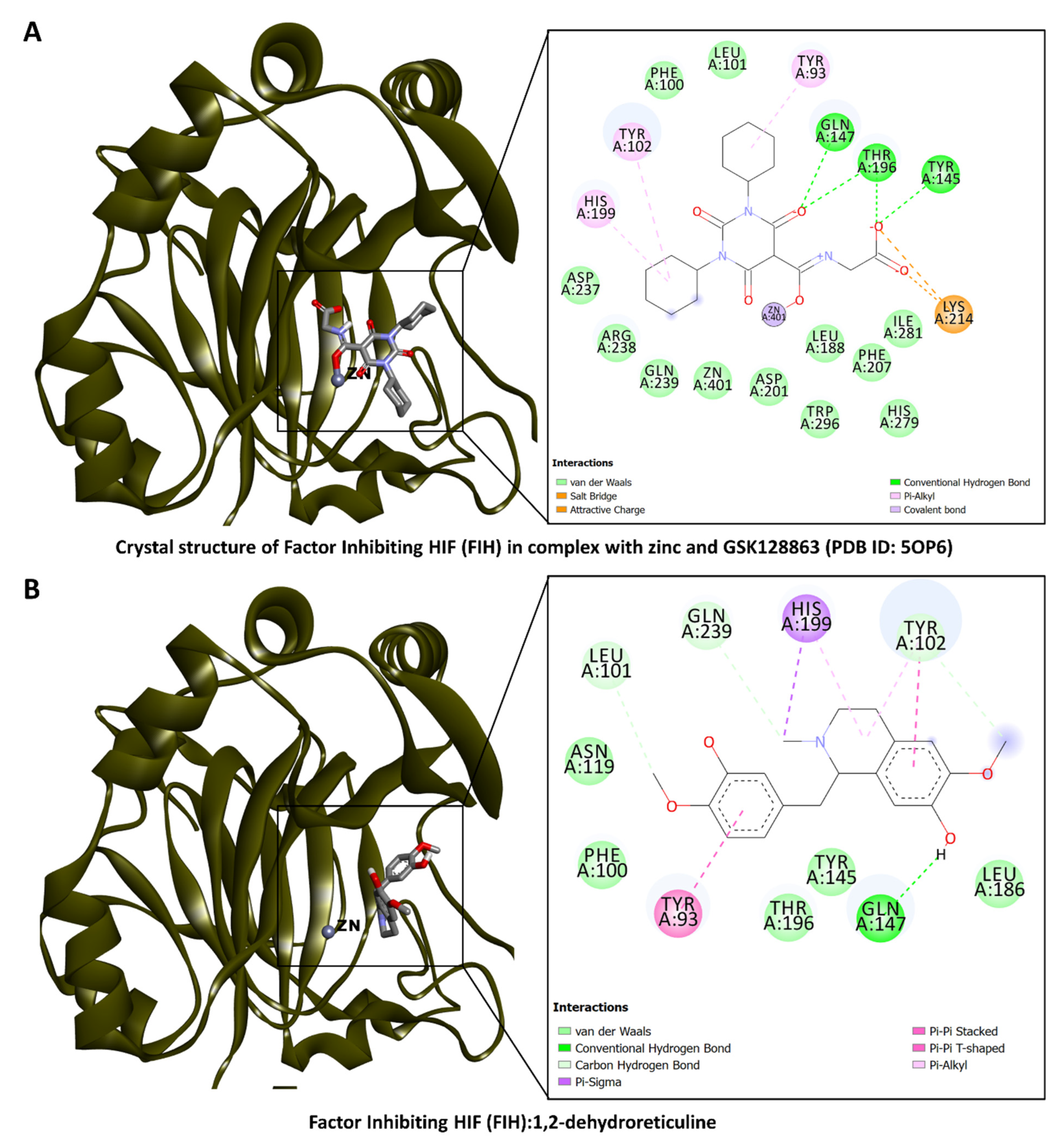 Antioxidants 13 00643 g006