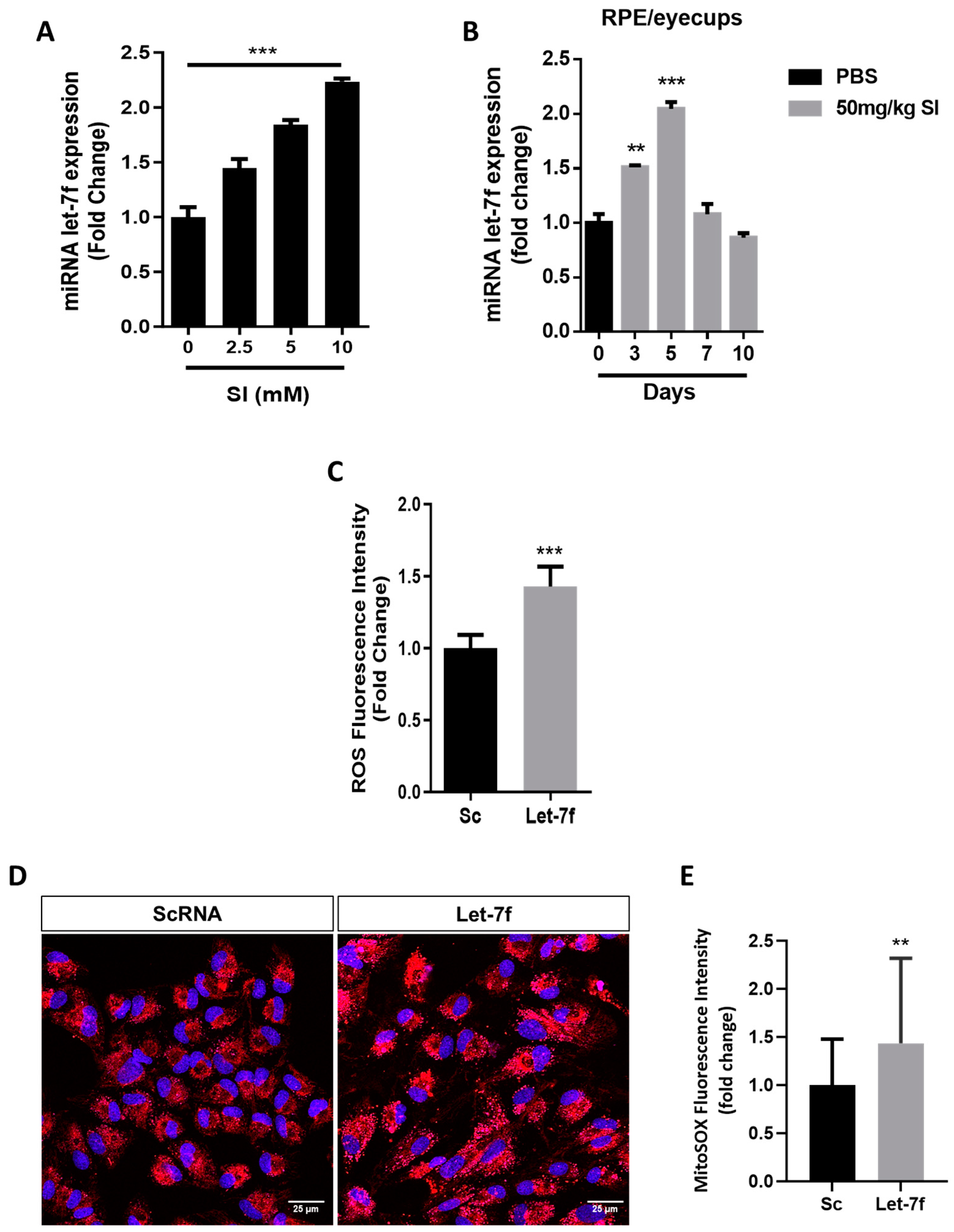 Antioxidants 13 00646 g001