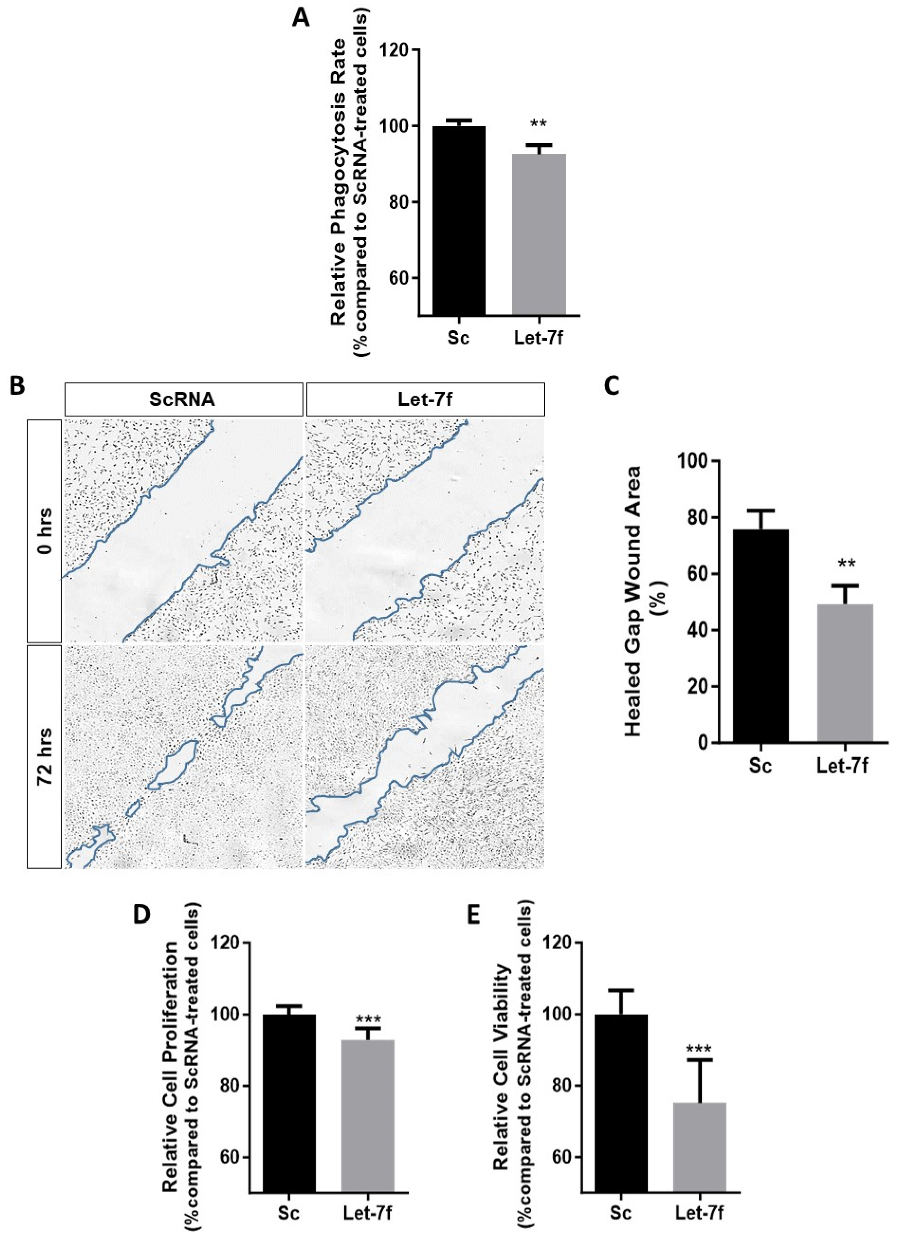 Antioxidants 13 00646 g002