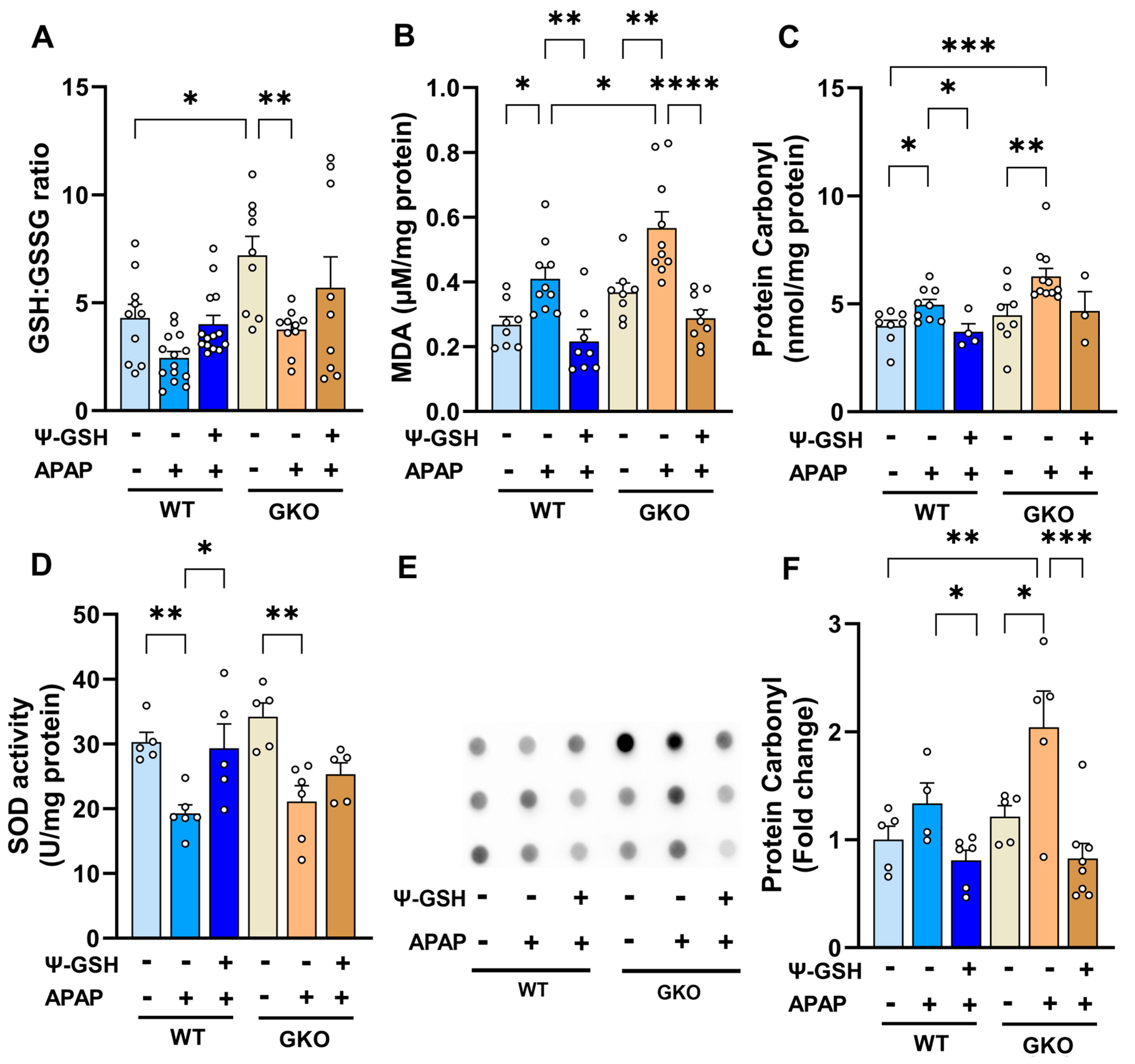 Antioxidants 13 00648 g005