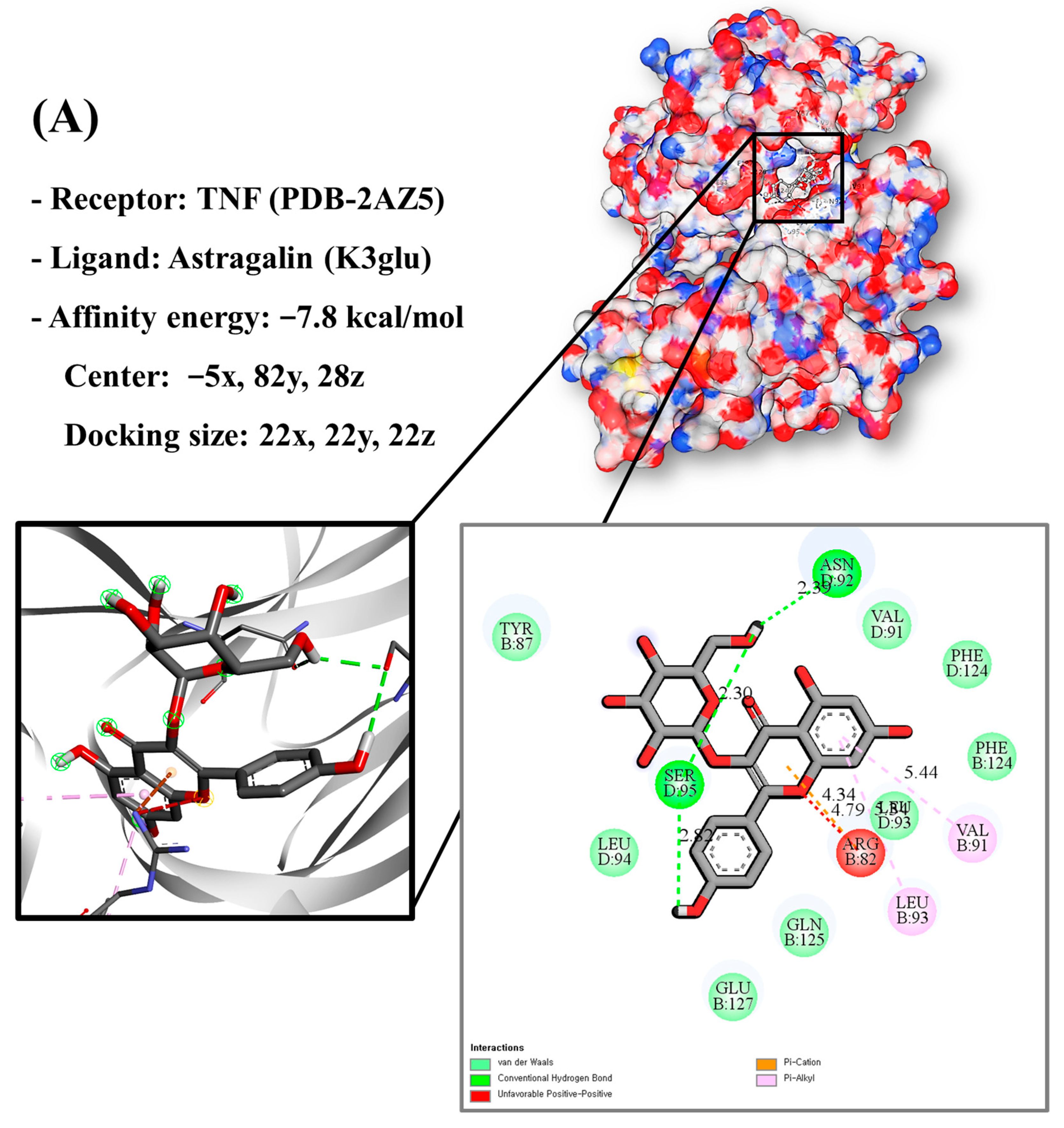 Antioxidants 13 00652 g007a