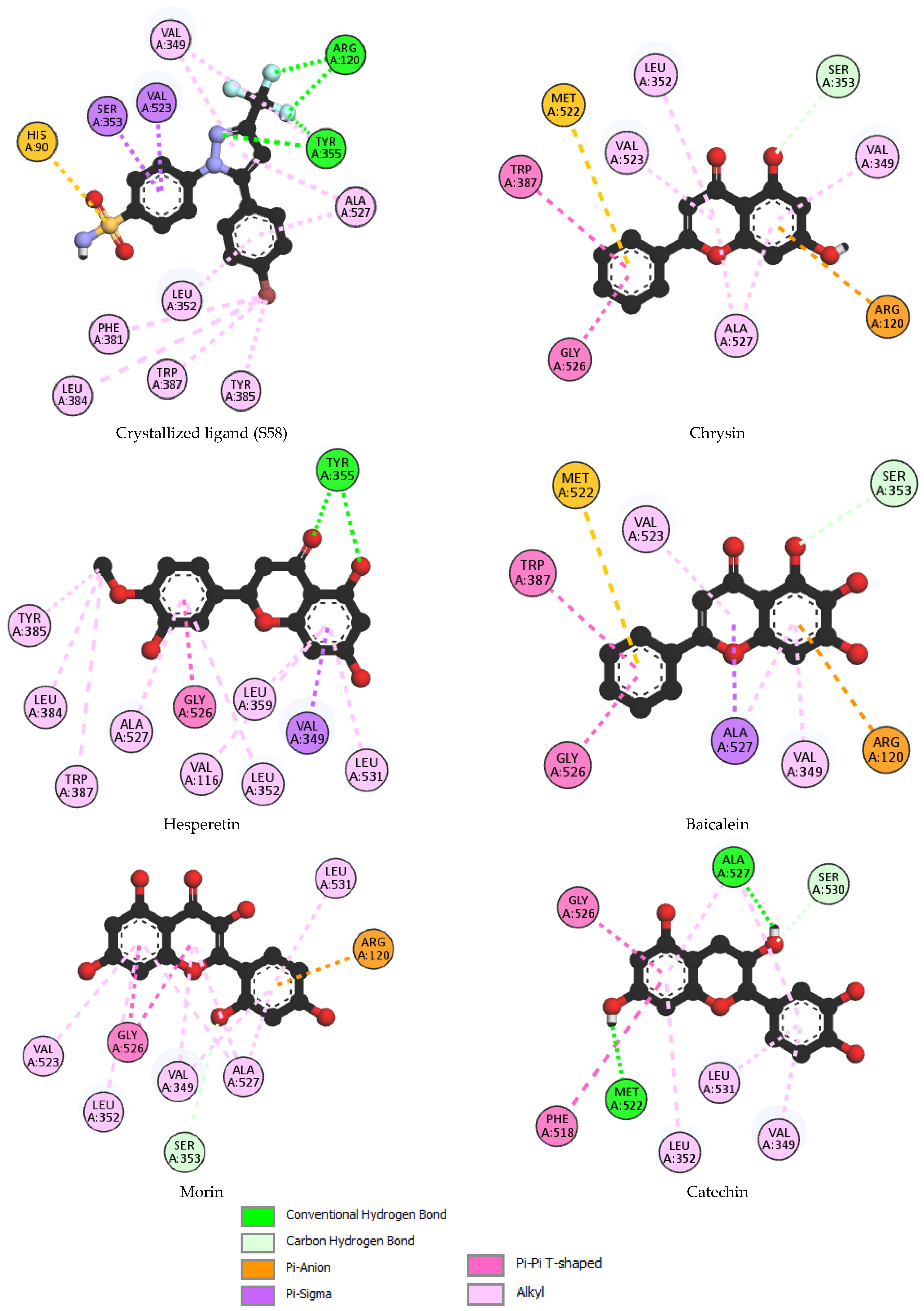 Antioxidants 13 00654 g001