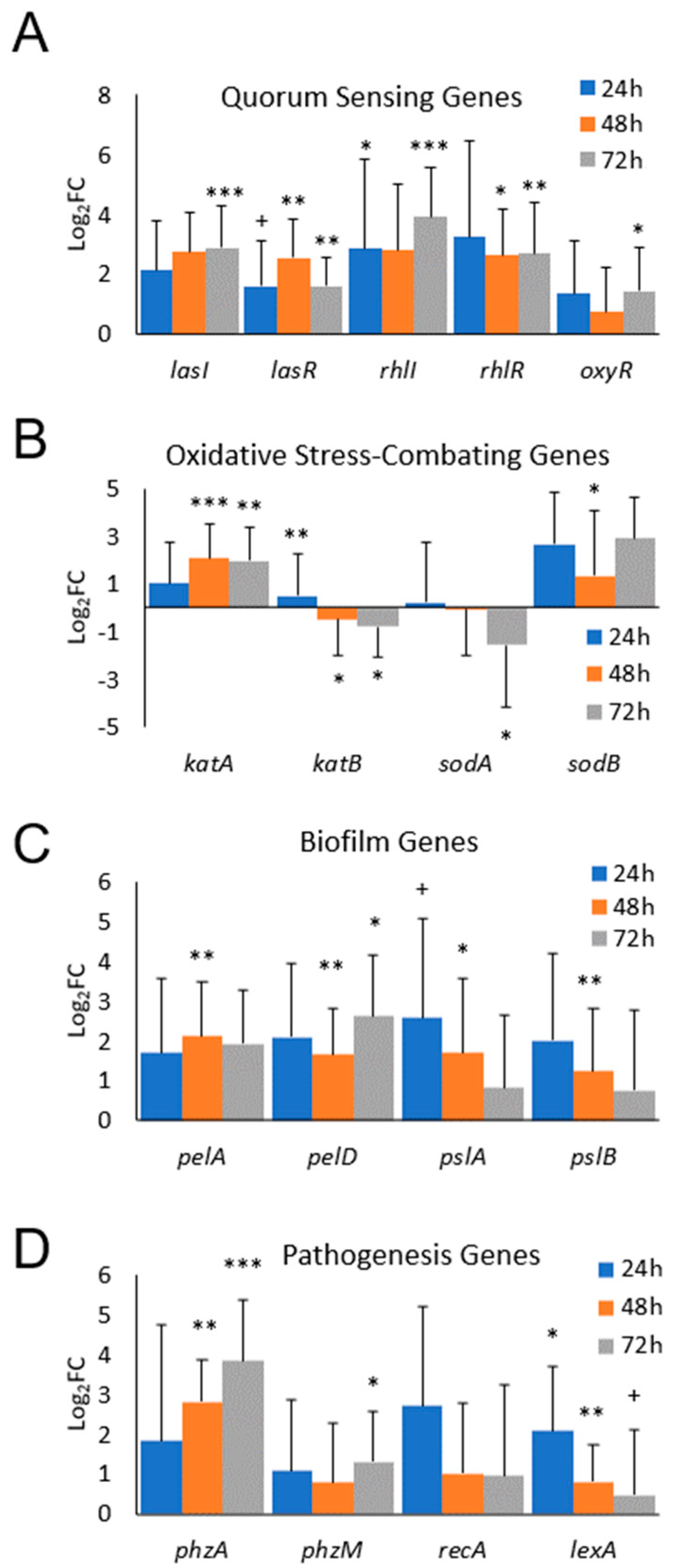 Antioxidants 13 00655 g004